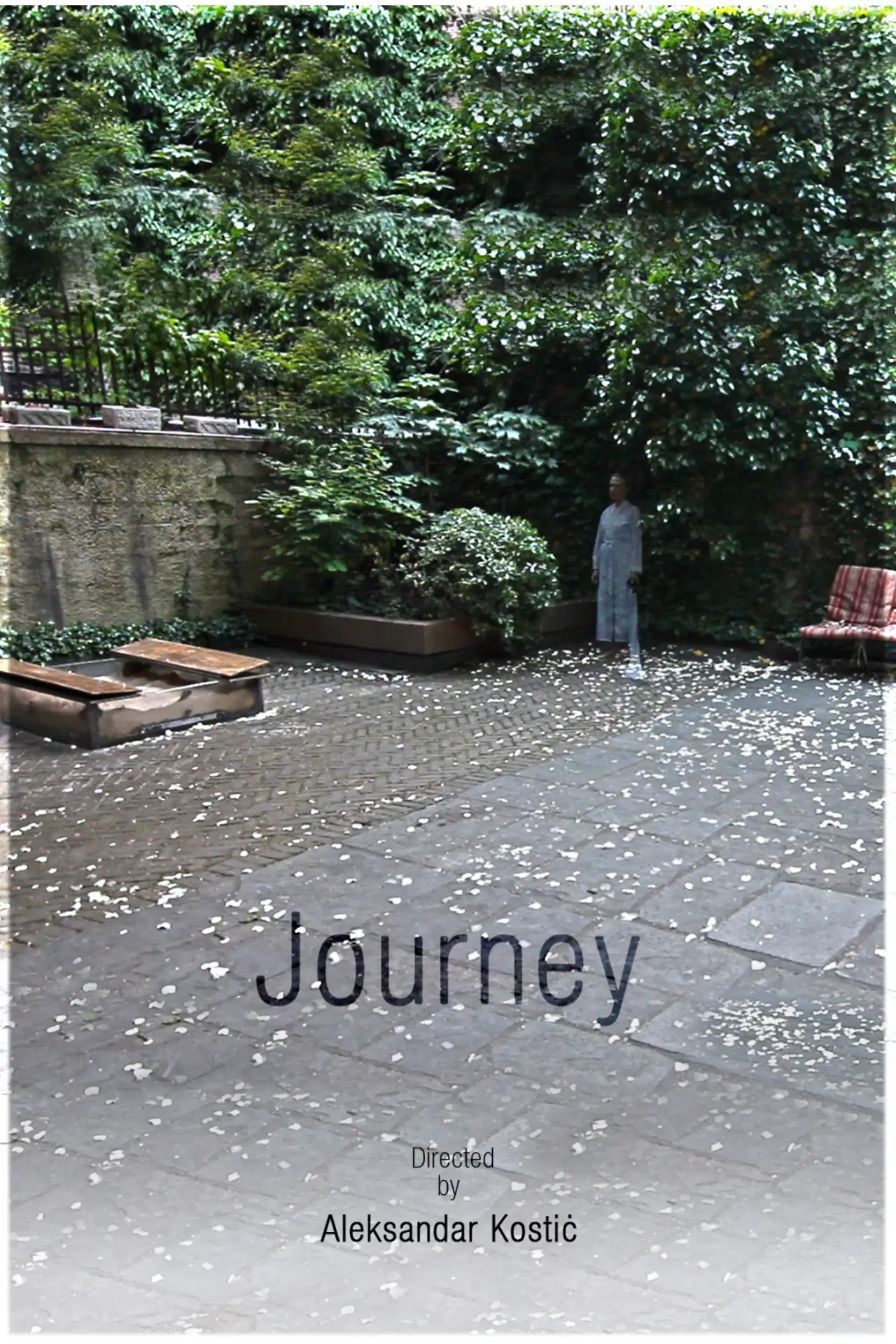 Plakat filmowy "Journey"