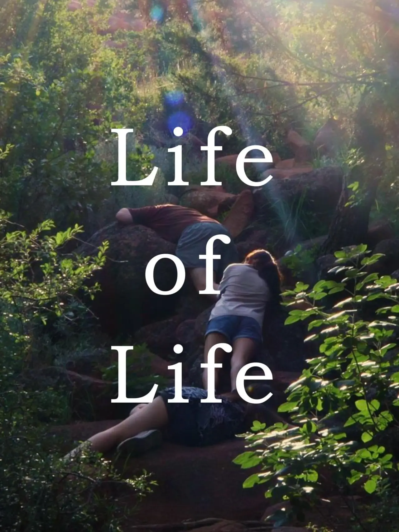 Plakat filmowy "Life of Life"