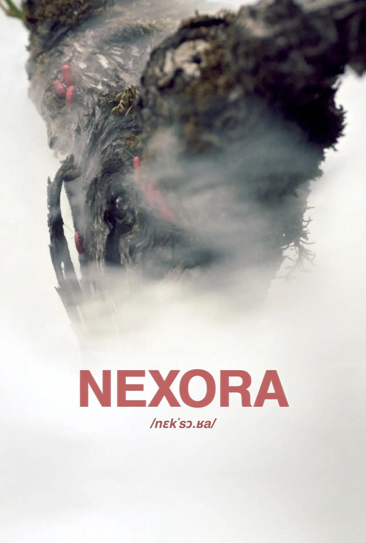 Plakat filmowy "Nexora"
