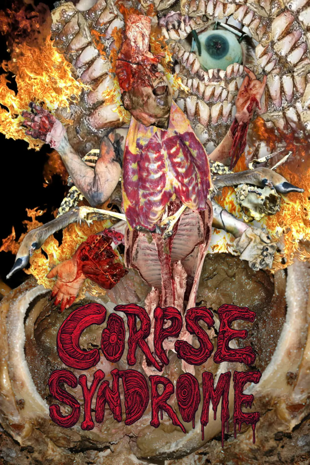 Plakat filmowy "Corpse Syndrome"