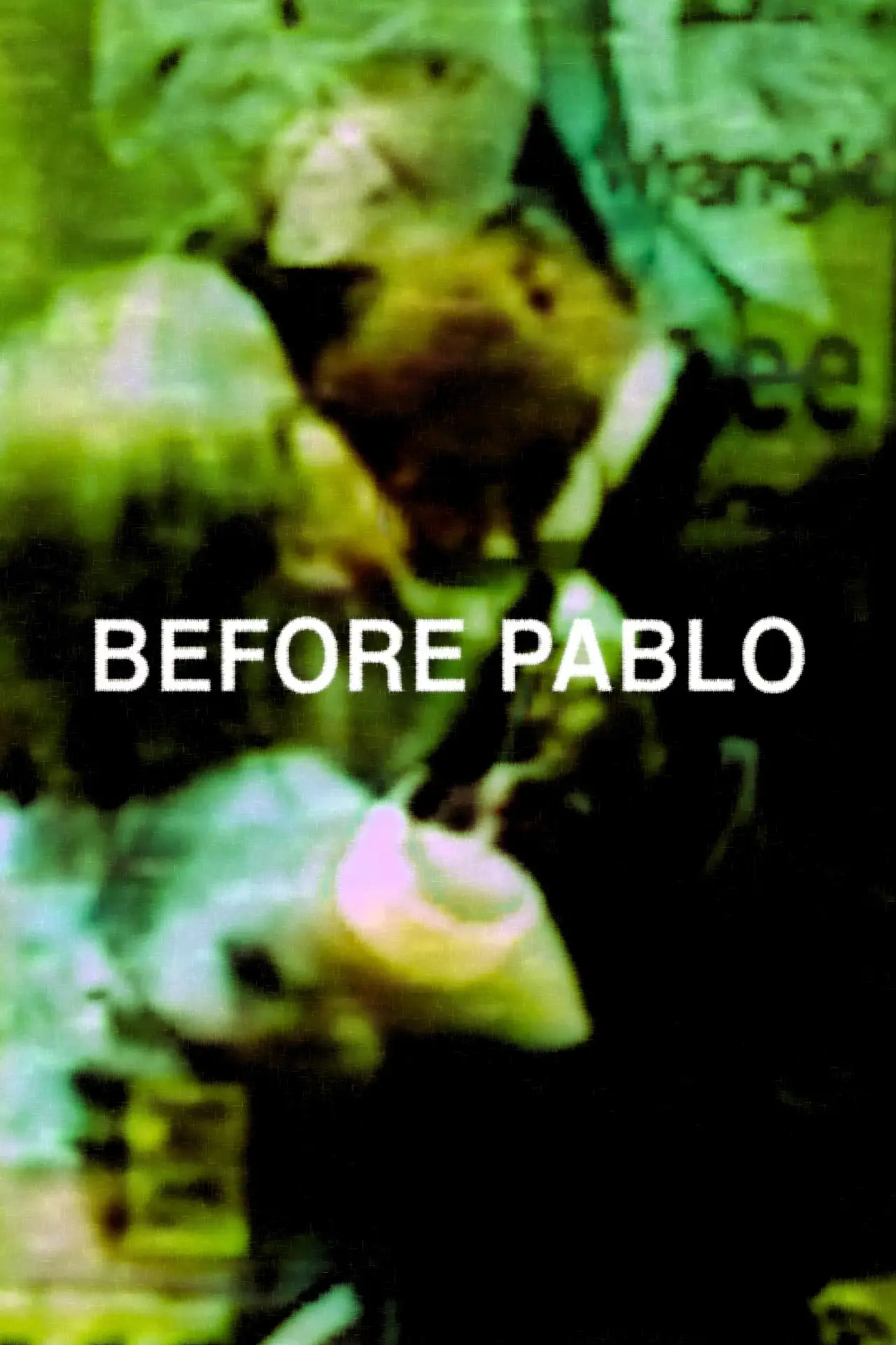 Plakat filmowy "before Pablo"