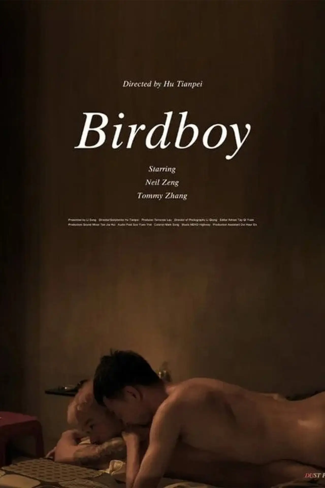 Plakat filmowy "Birdboy"