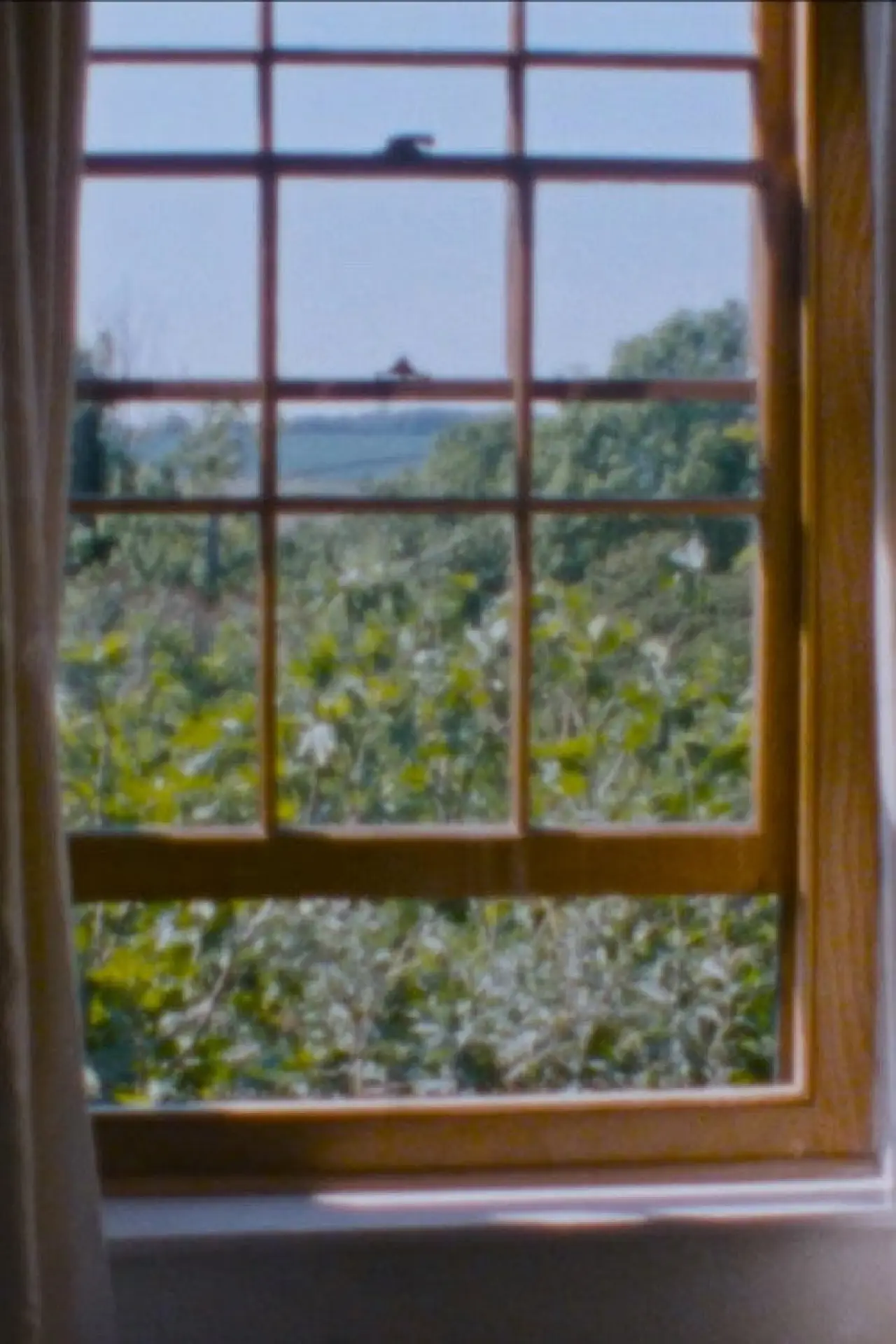 Plakat filmowy "Landscape as Landscape - 28"