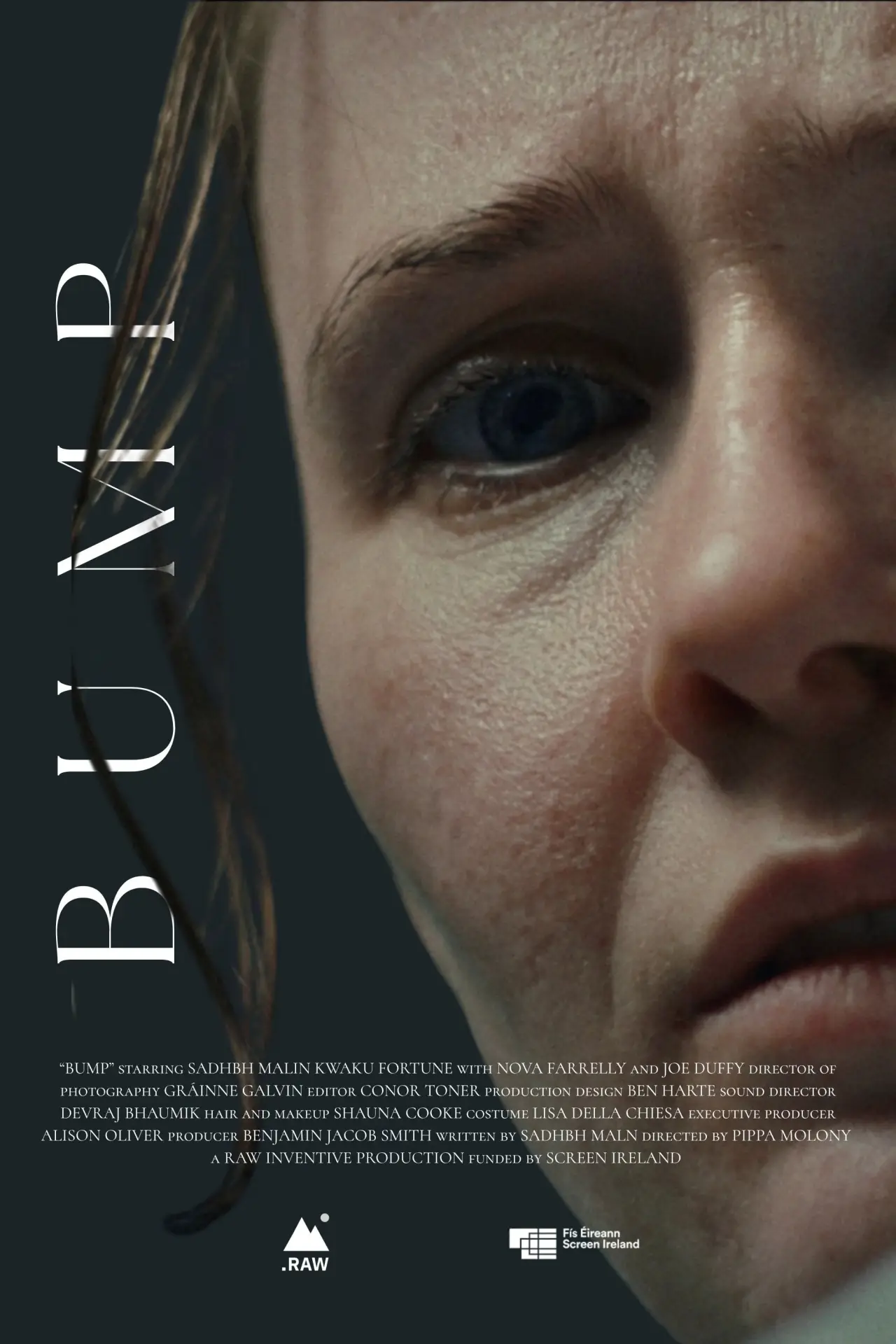 Plakat filmowy "Bump"