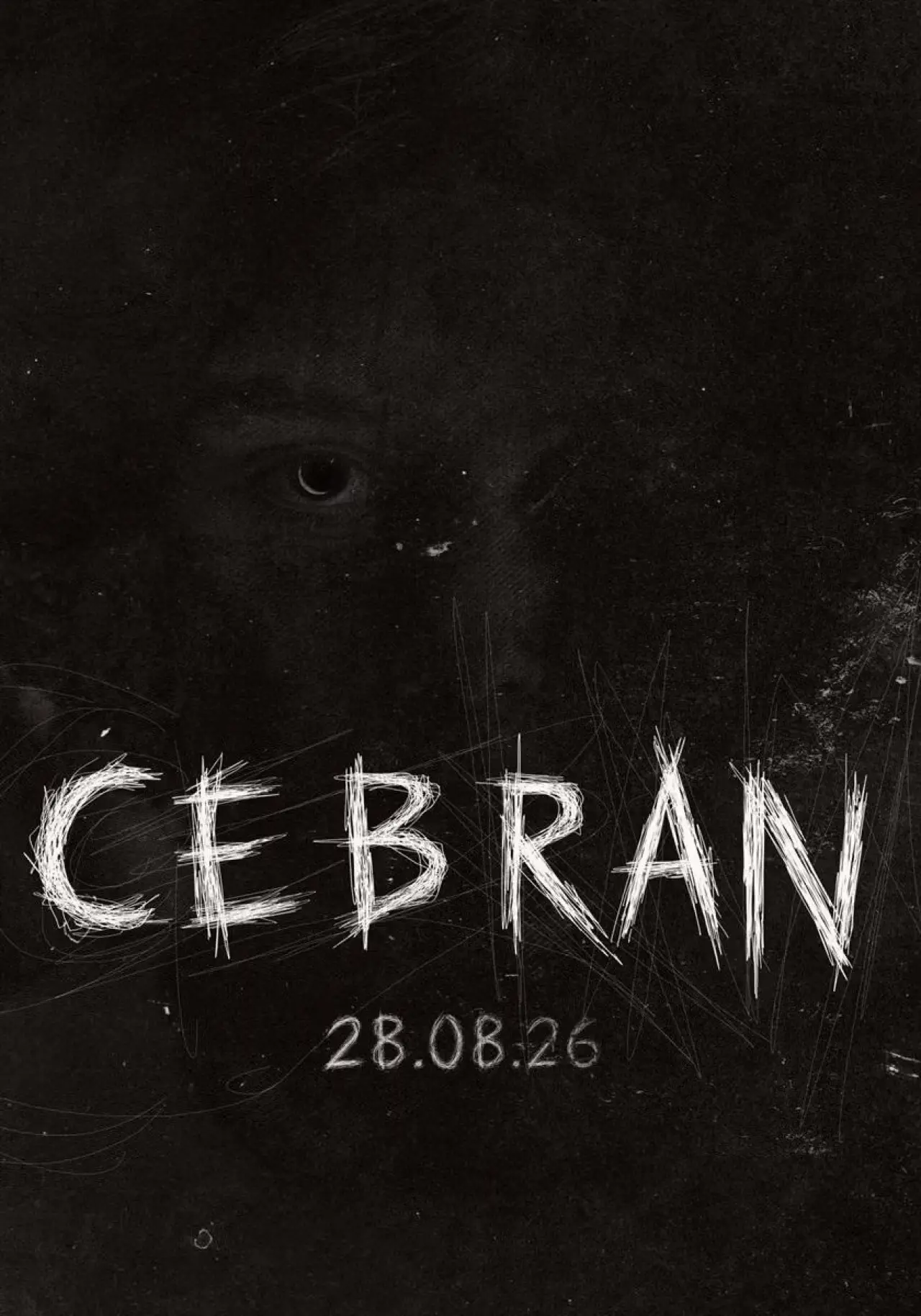 Plakat filmowy "Cebran"