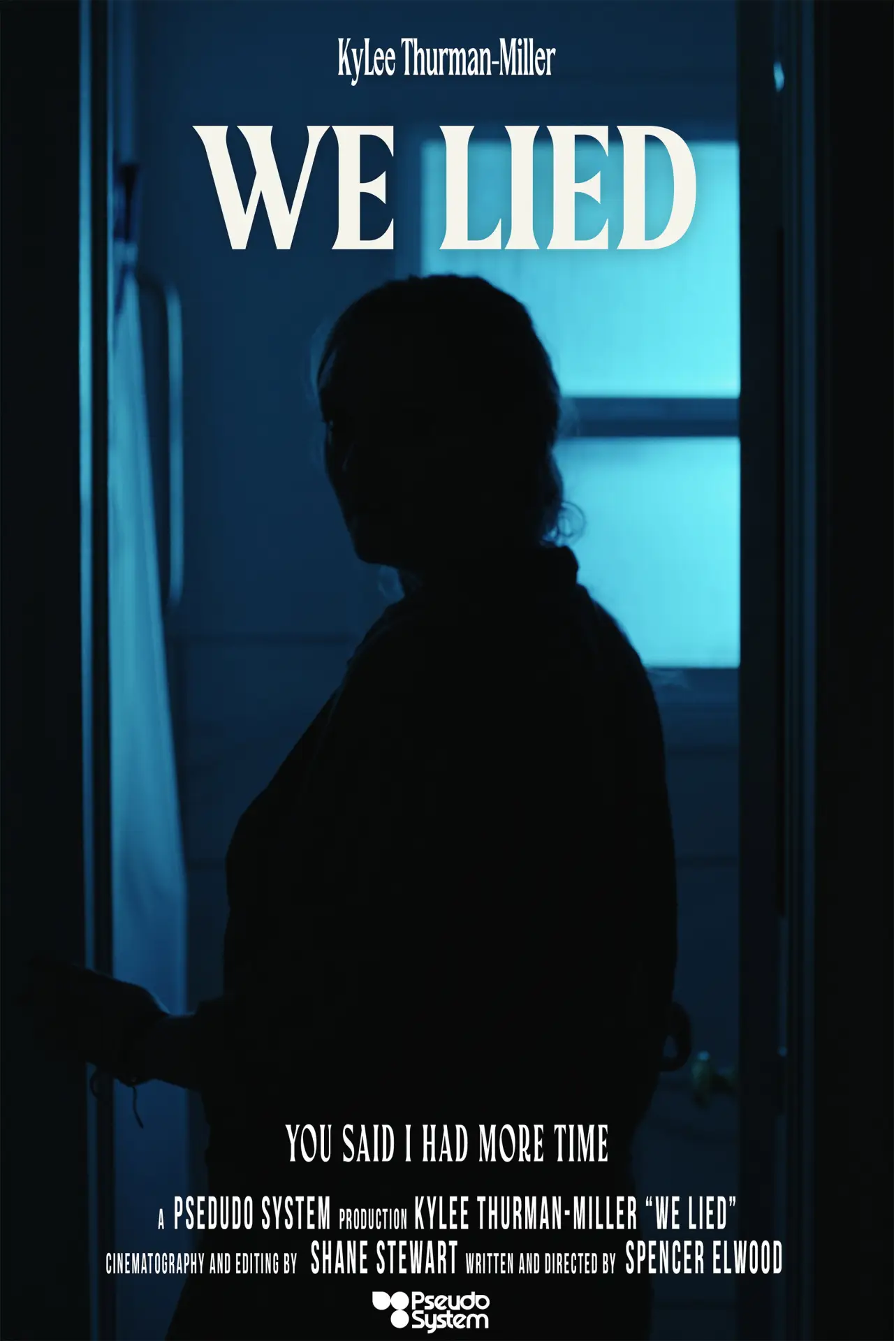 Plakat filmowy "We Lied"