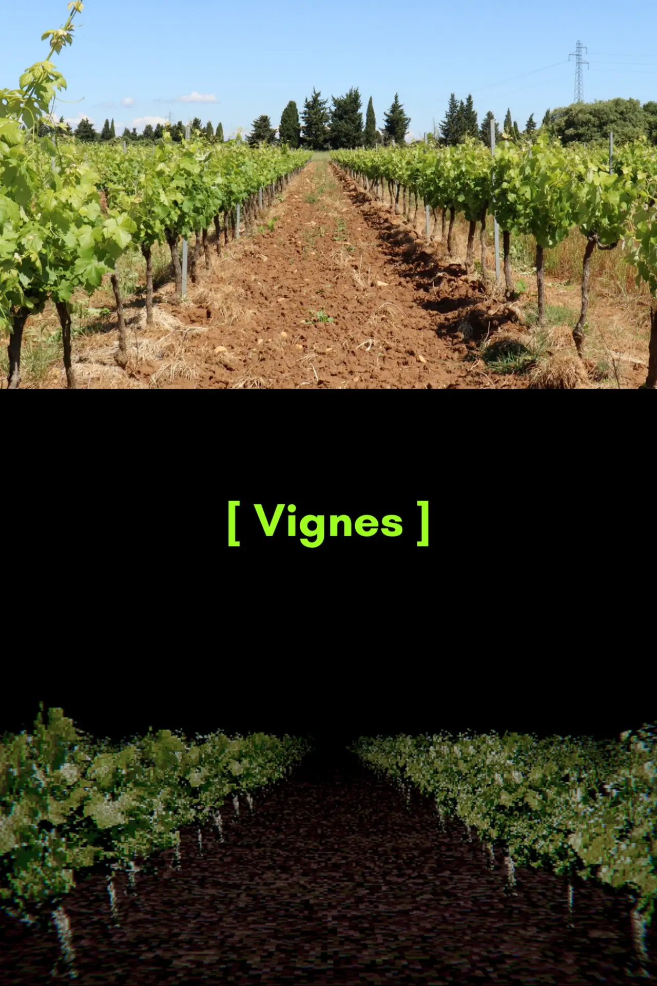 Plakat filmowy "[ Vignes ]"