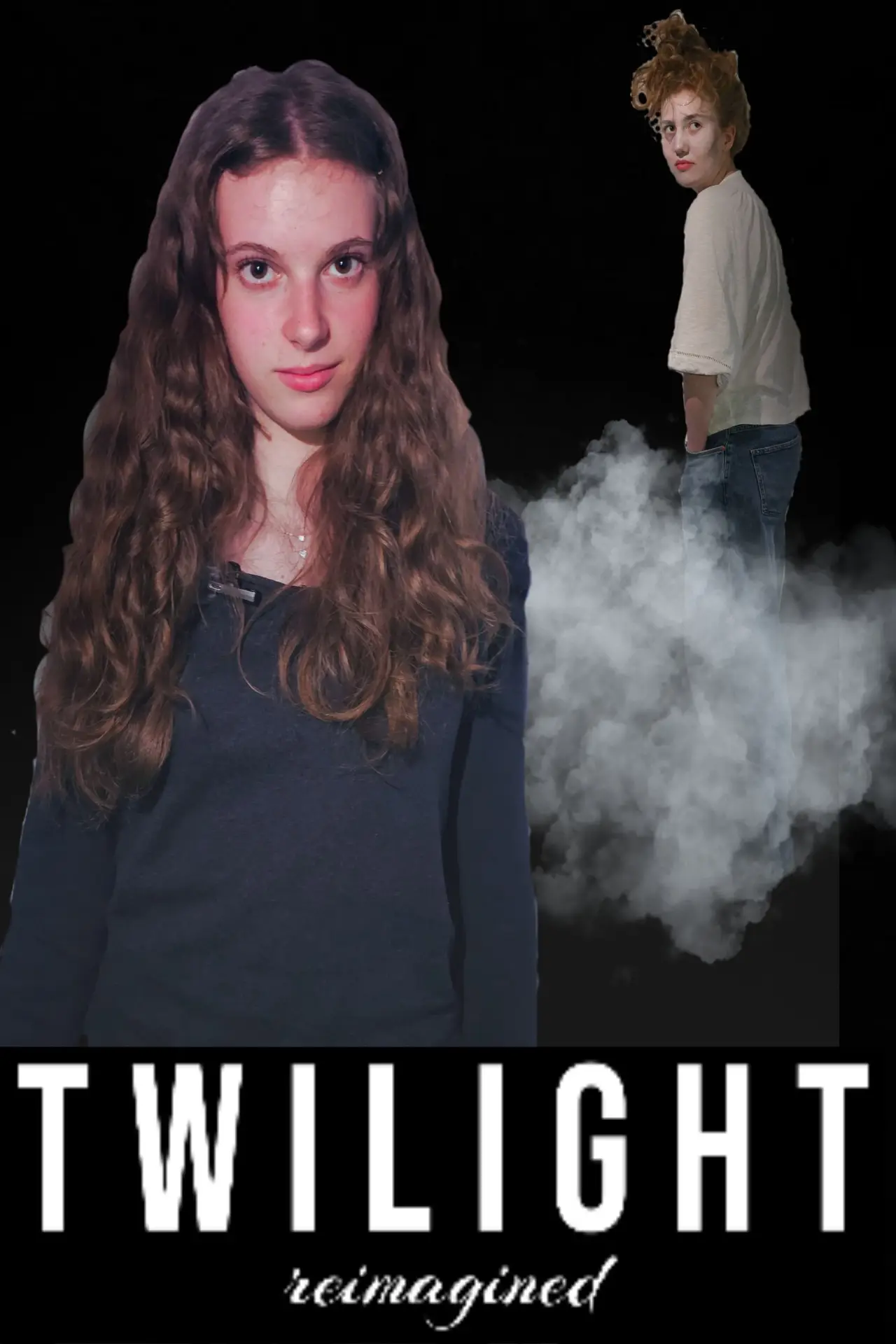 Plakat filmowy "Twilight: reimagined"