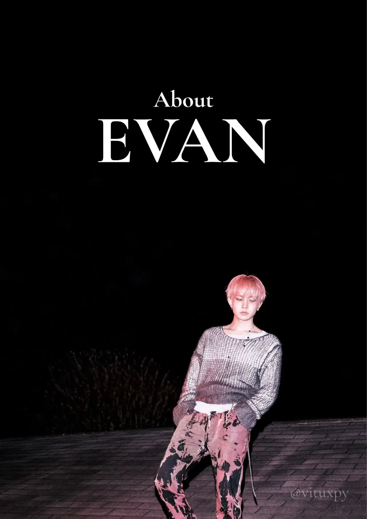 Plakat filmowy "About EVAN"