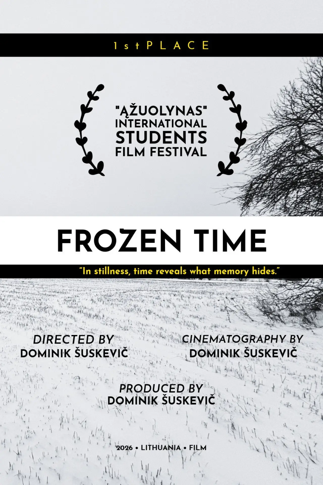 Plakat filmowy "Frozen Time: What If"