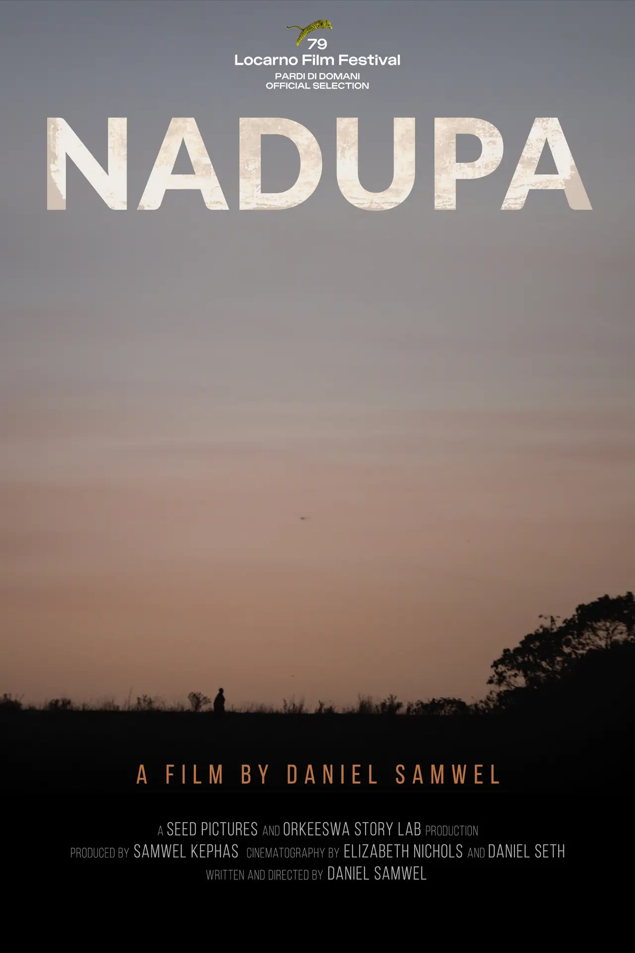 Plakat filmowy "NADUPA"