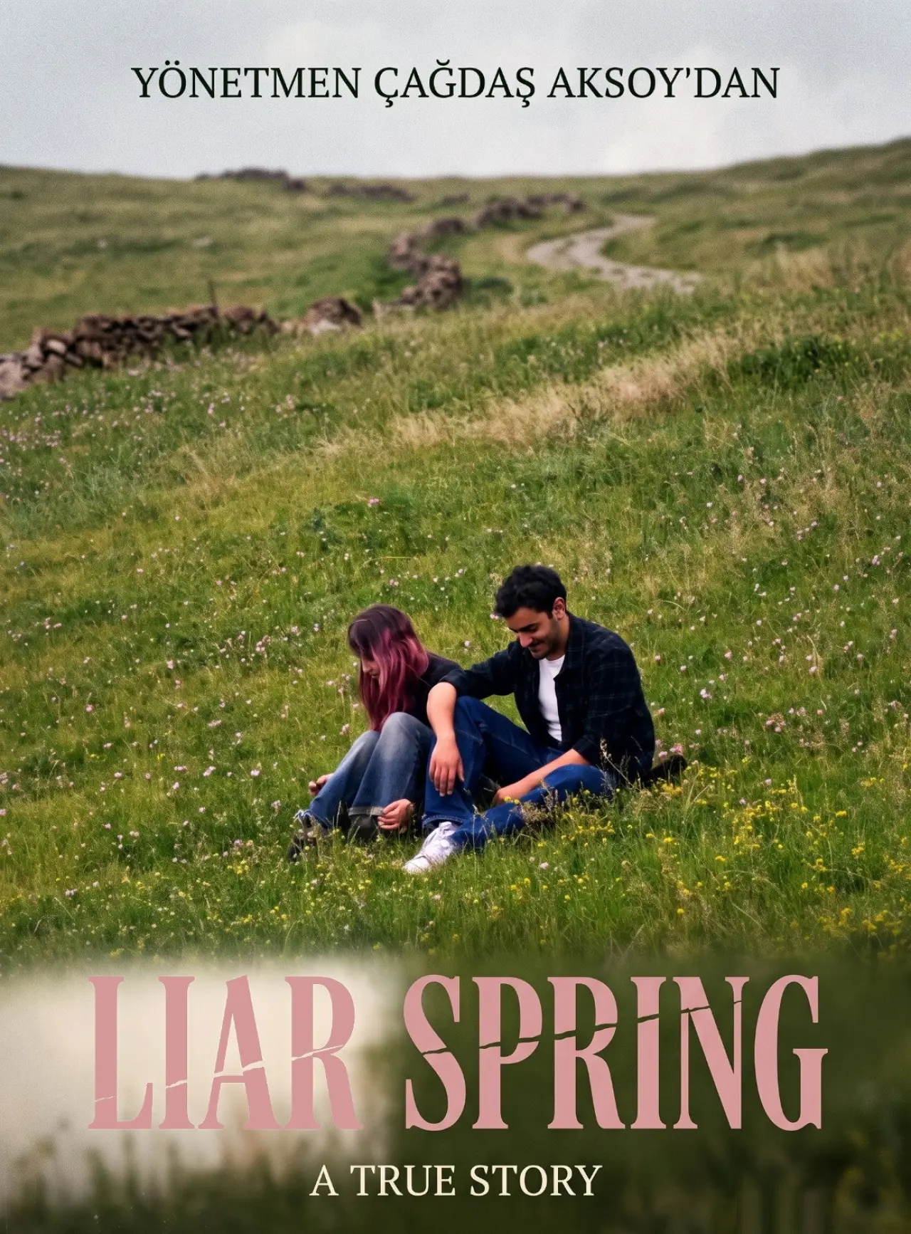 Plakat filmowy "Liar Spring"