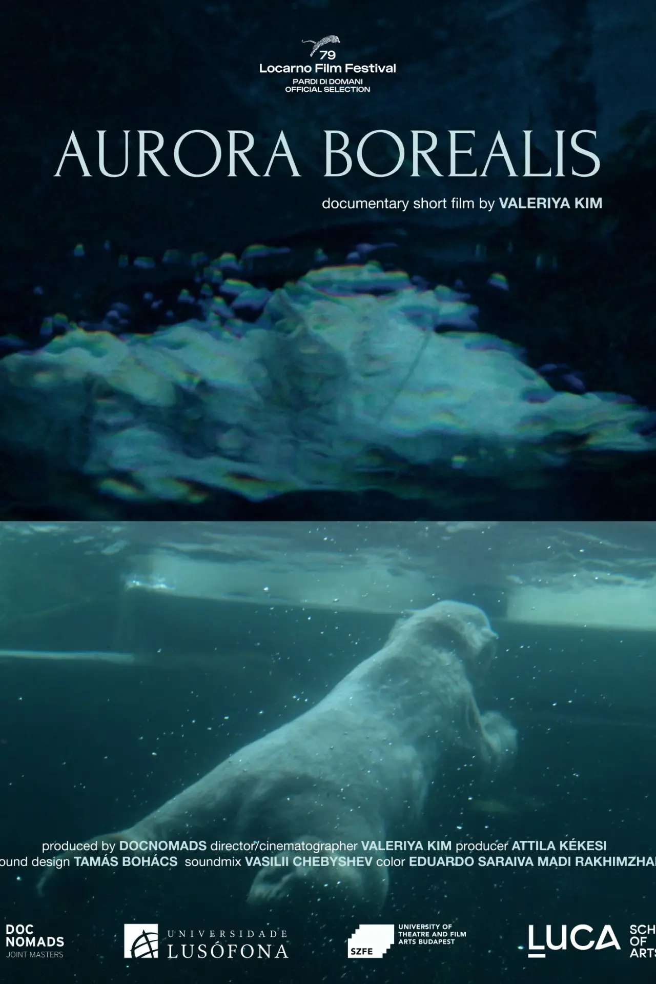 Plakat filmowy "Aurora Borealis"