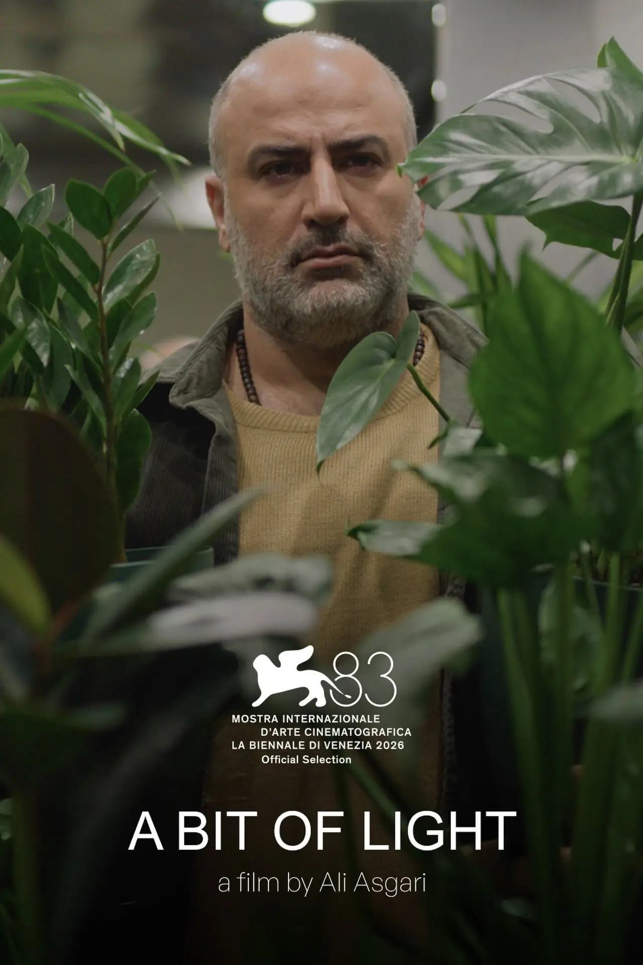 Plakat filmowy "کمی نور"