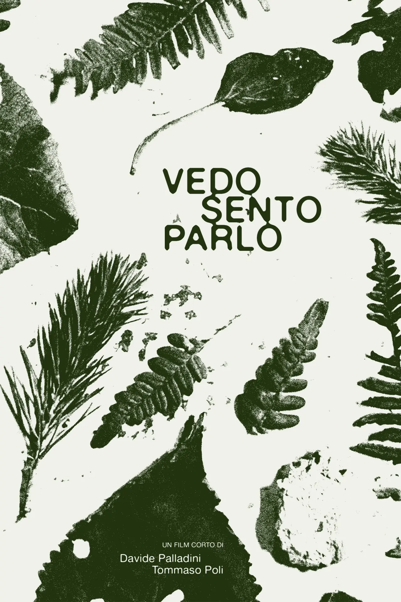 Plakat filmowy "Vedo Sento Parlo"