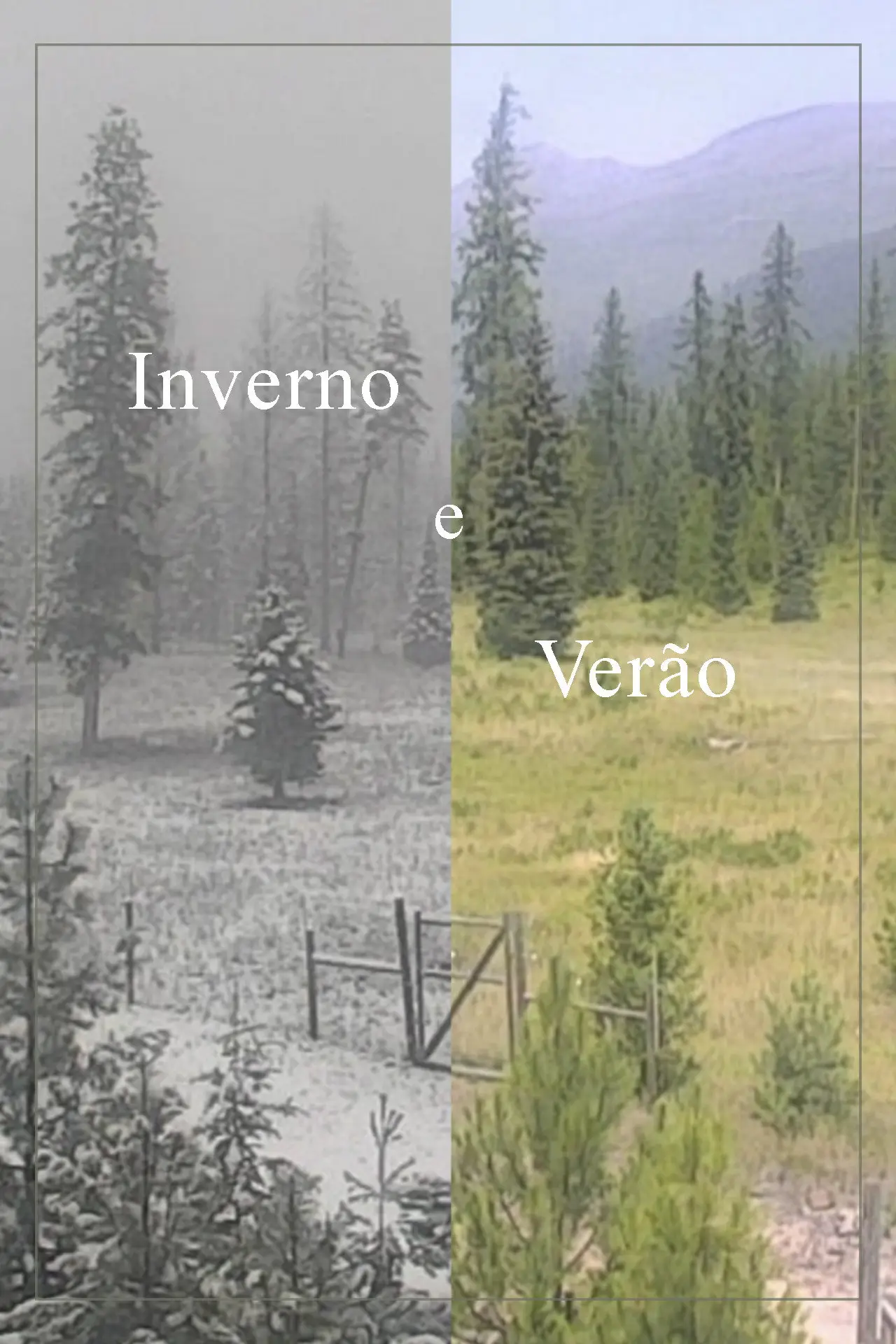 Plakat filmowy "Inverno e Verão"