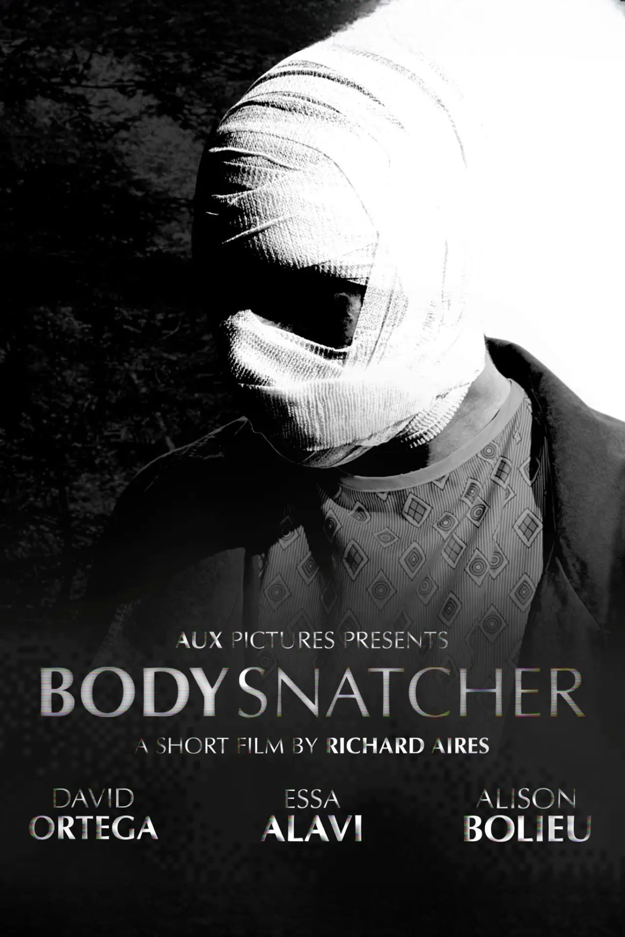 Plakat filmowy "Bodysnatcher"