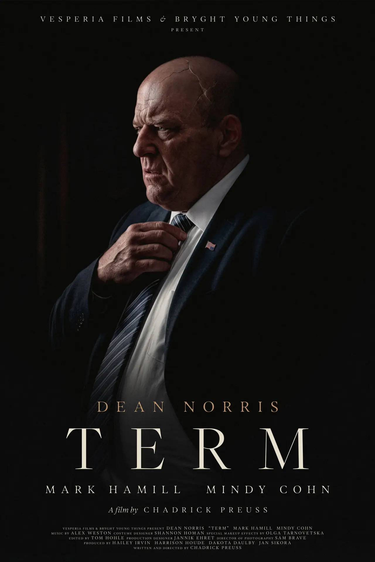 Plakat filmowy "TERM"