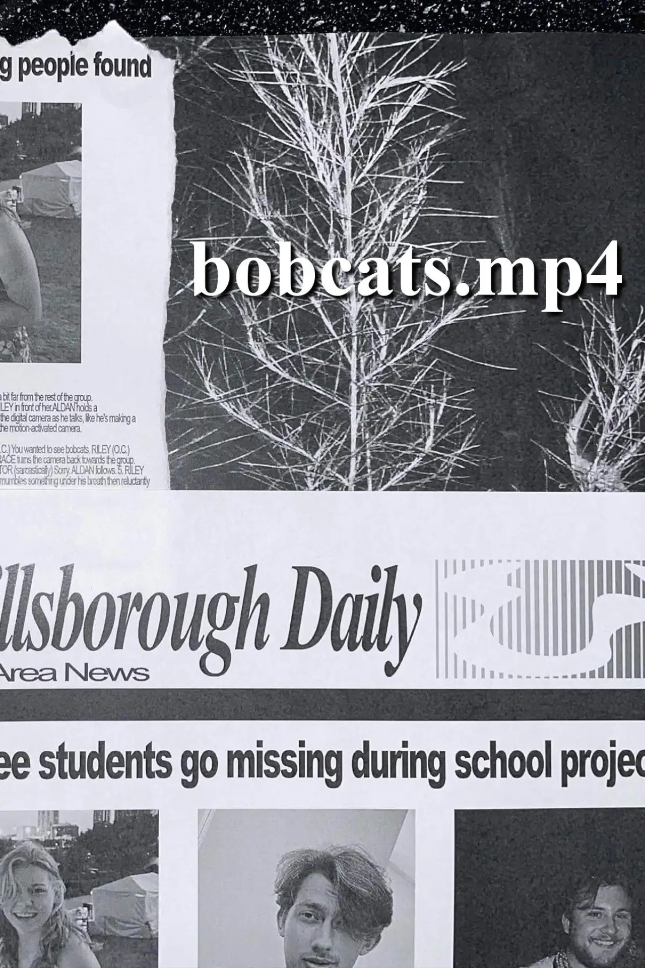 Plakat filmowy "bobcats.mp4"