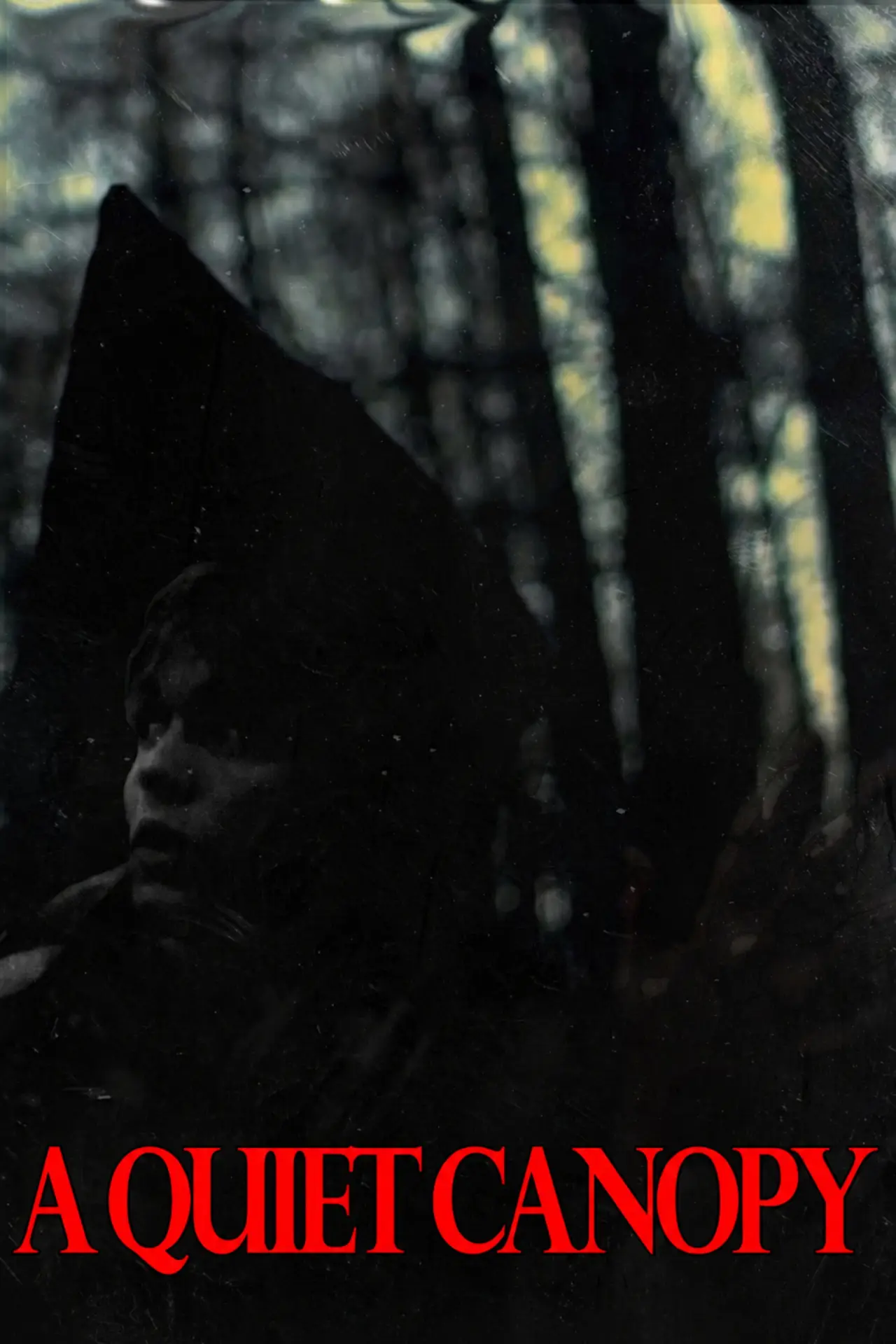 Plakat filmowy "A Quiet Canopy"
