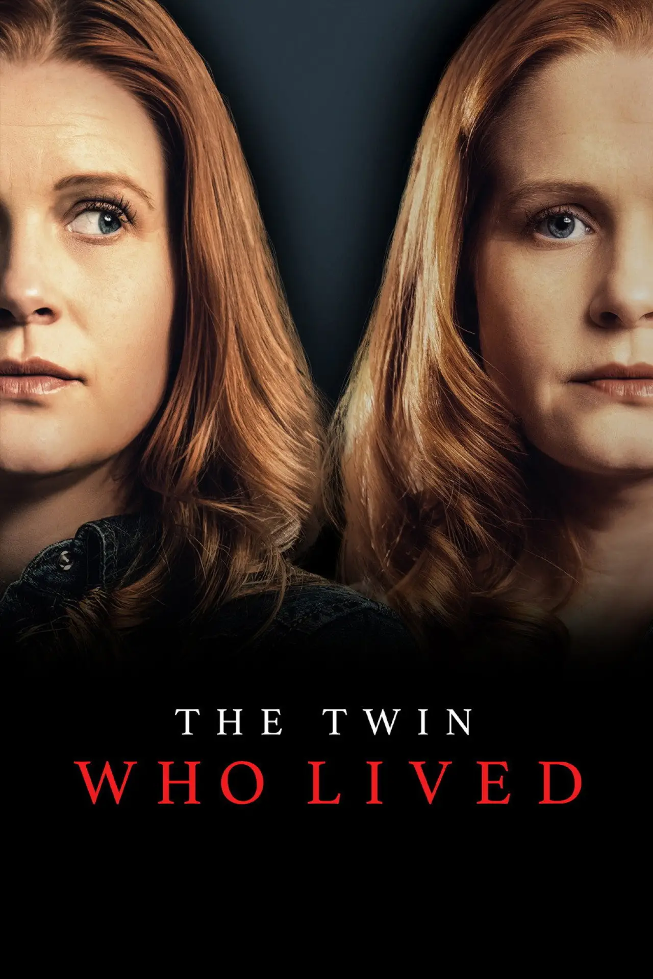 Plakat filmowy "The Twin Who Lived"