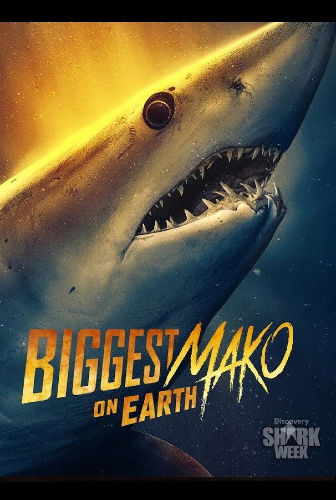 Plakat filmowy "Biggest Mako on Earth"