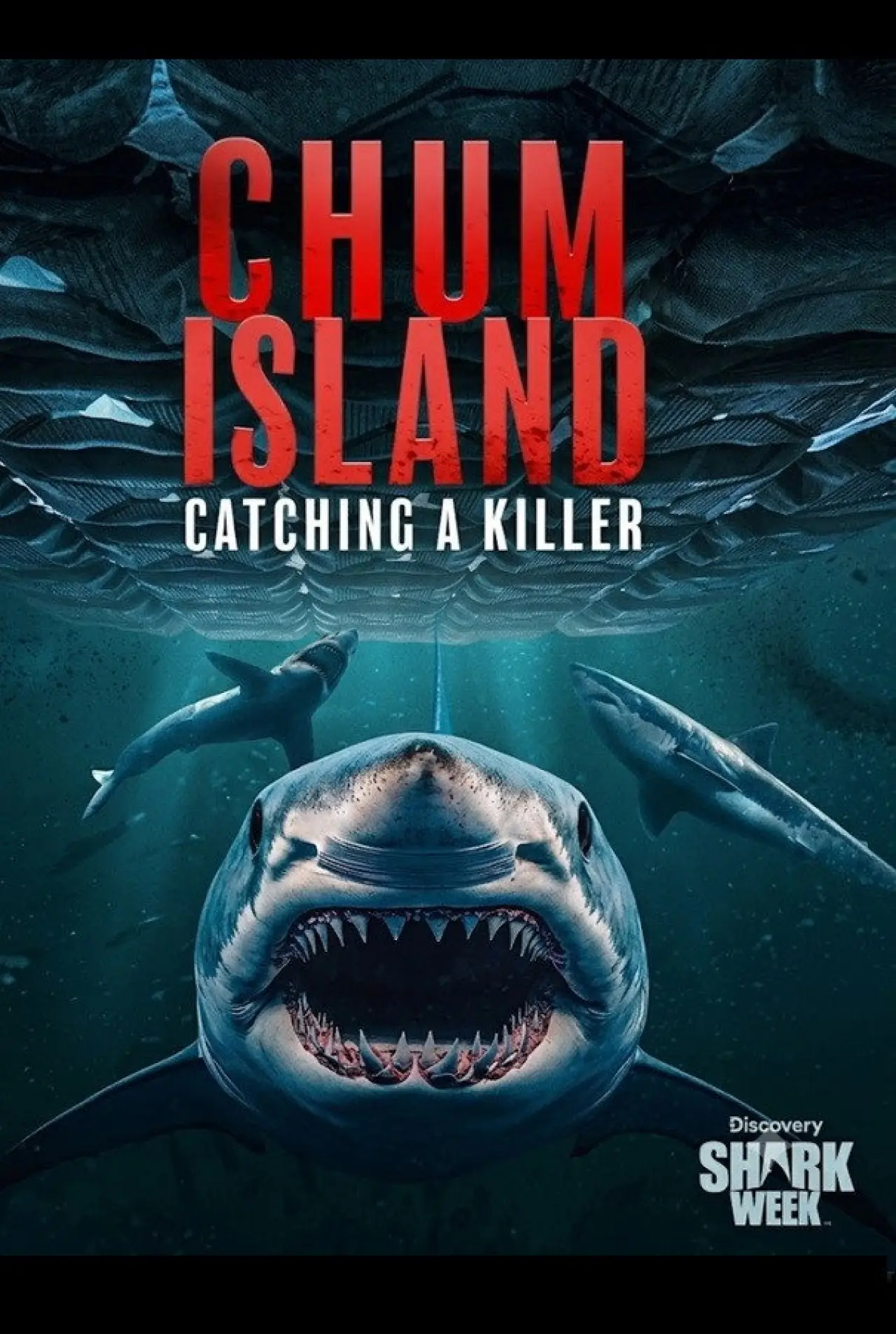 Plakat filmowy "Chum Island: Catching a Killer"