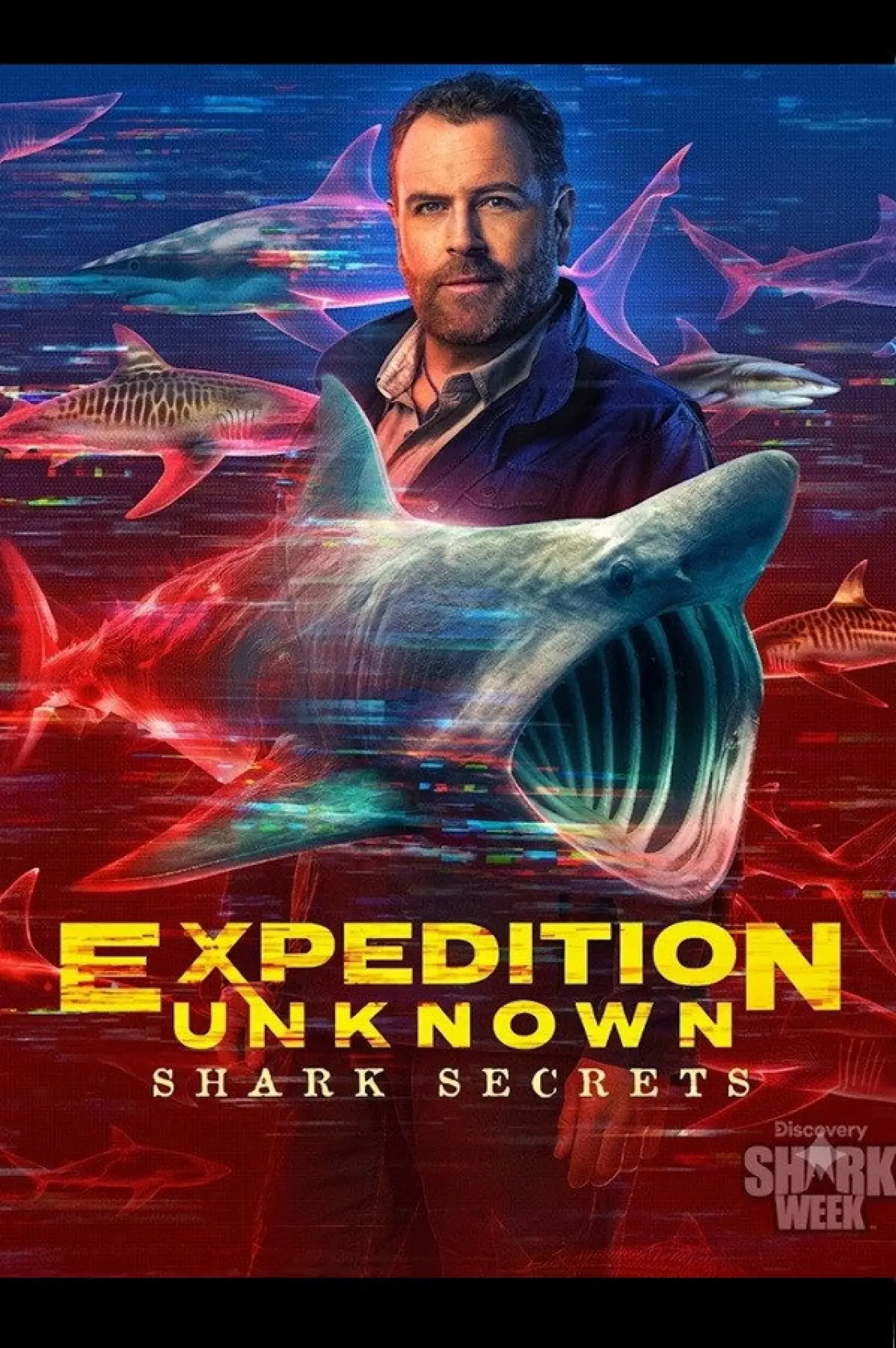 Plakat filmowy "Expedition Unknown: Shark Secrets"