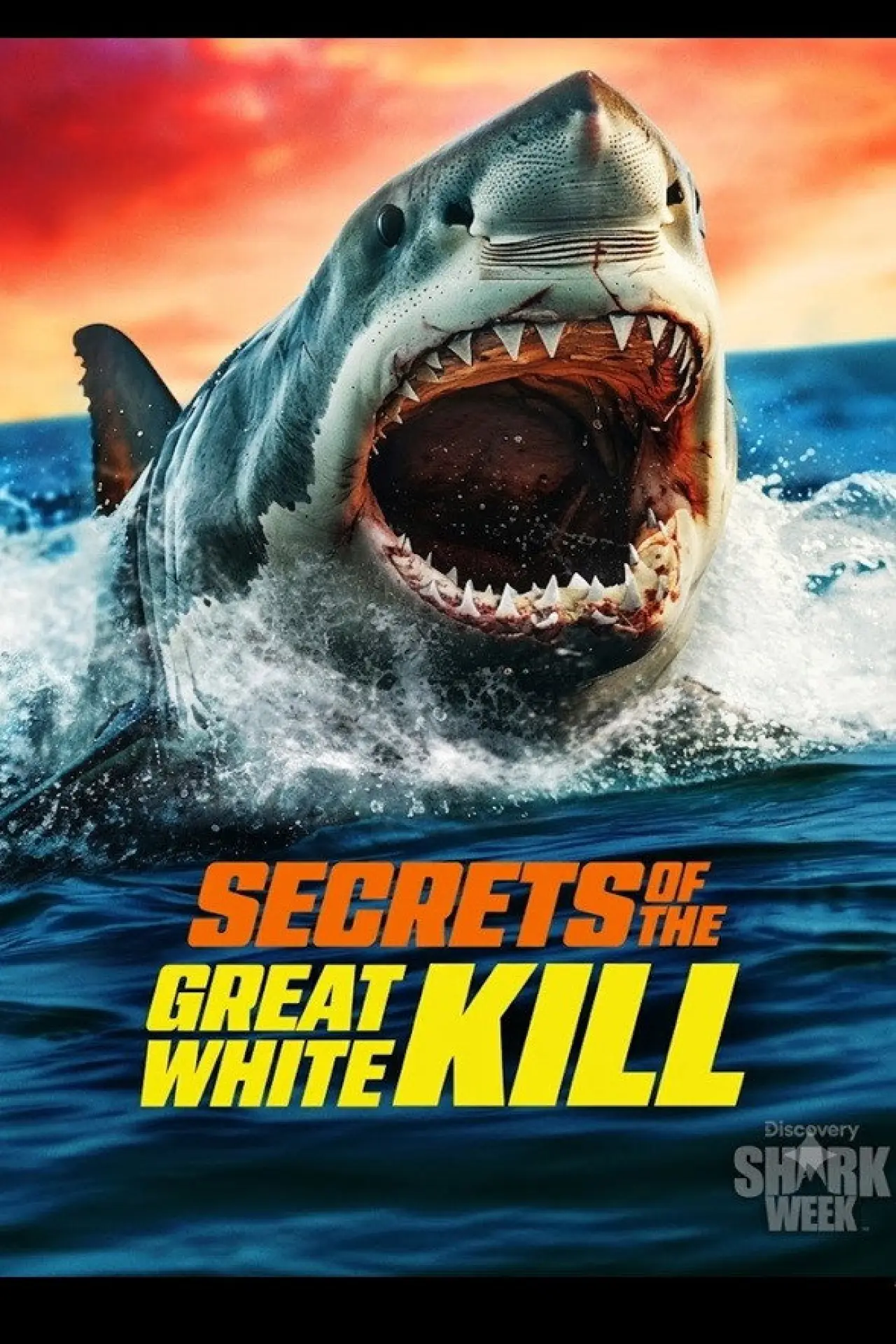 Plakat filmowy "Secrets of the Great White Kill"