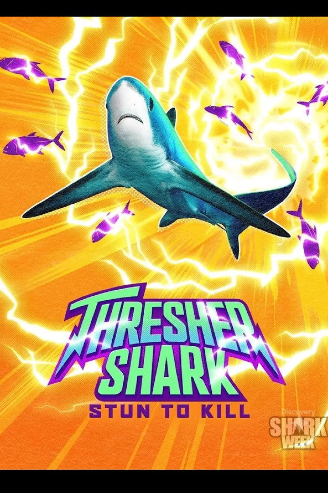 Plakat filmowy "Thresher Shark: Stun to Kill"