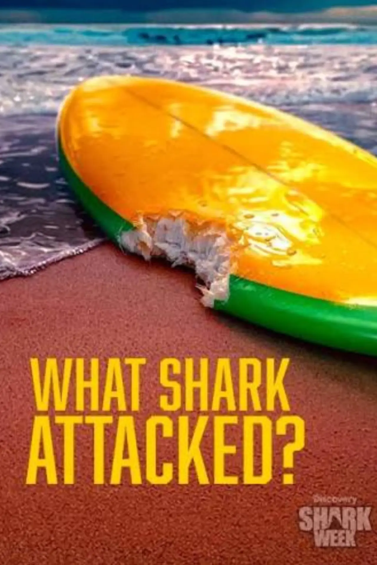 Plakat filmowy "What Shark Attacked?"