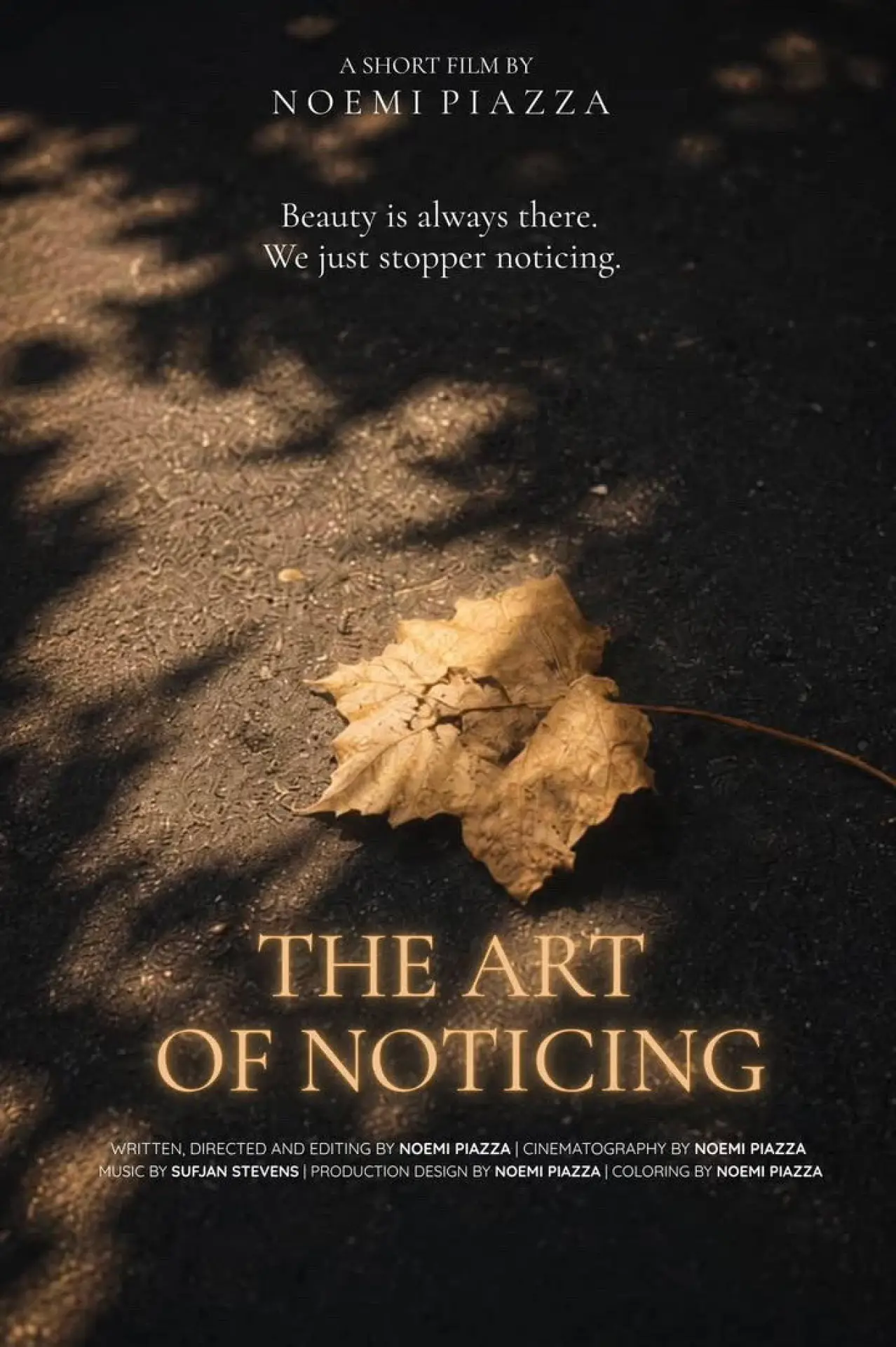 Plakat filmowy "The Art Of Noticing"