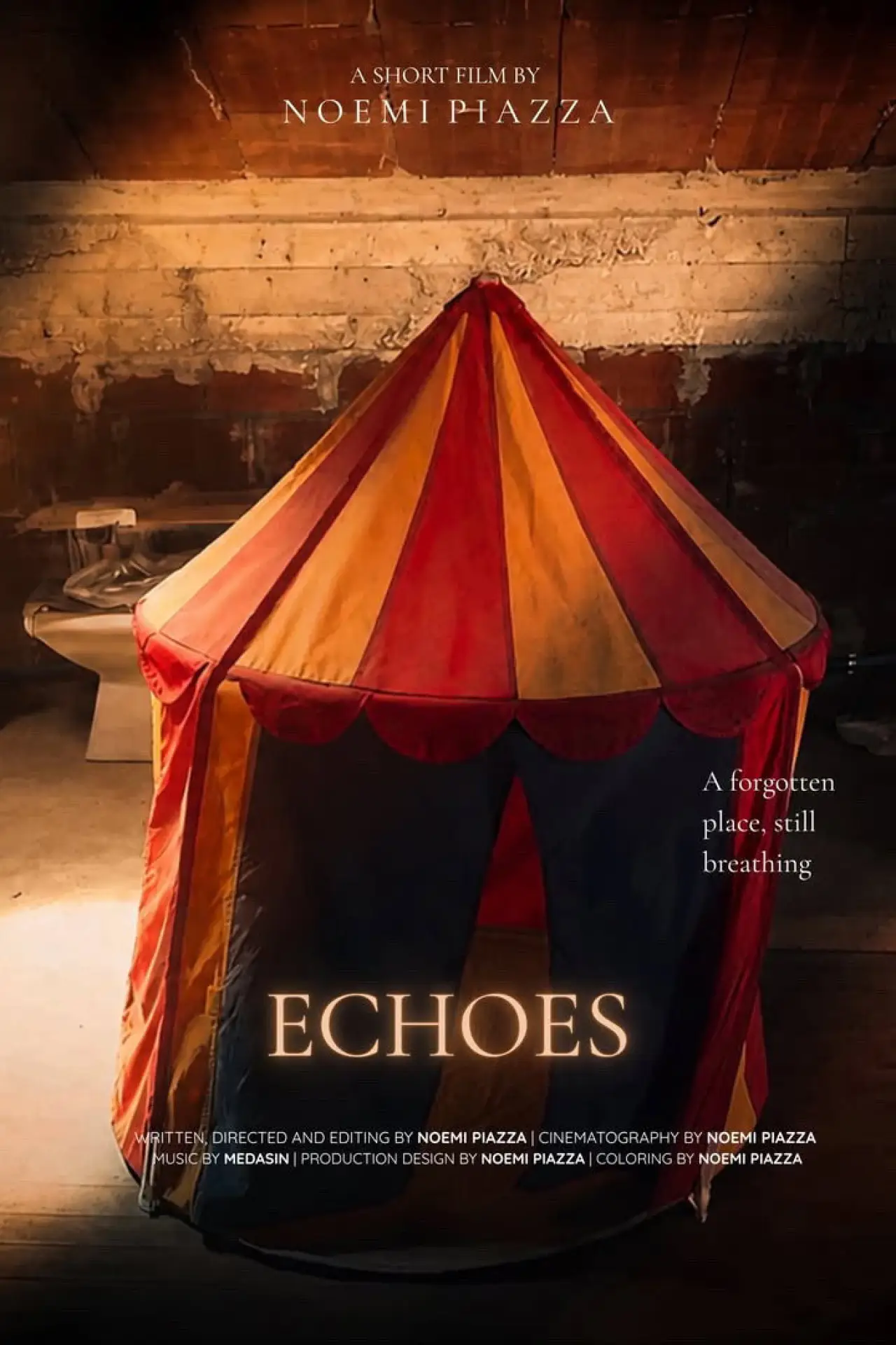 Plakat filmowy "Echoes"