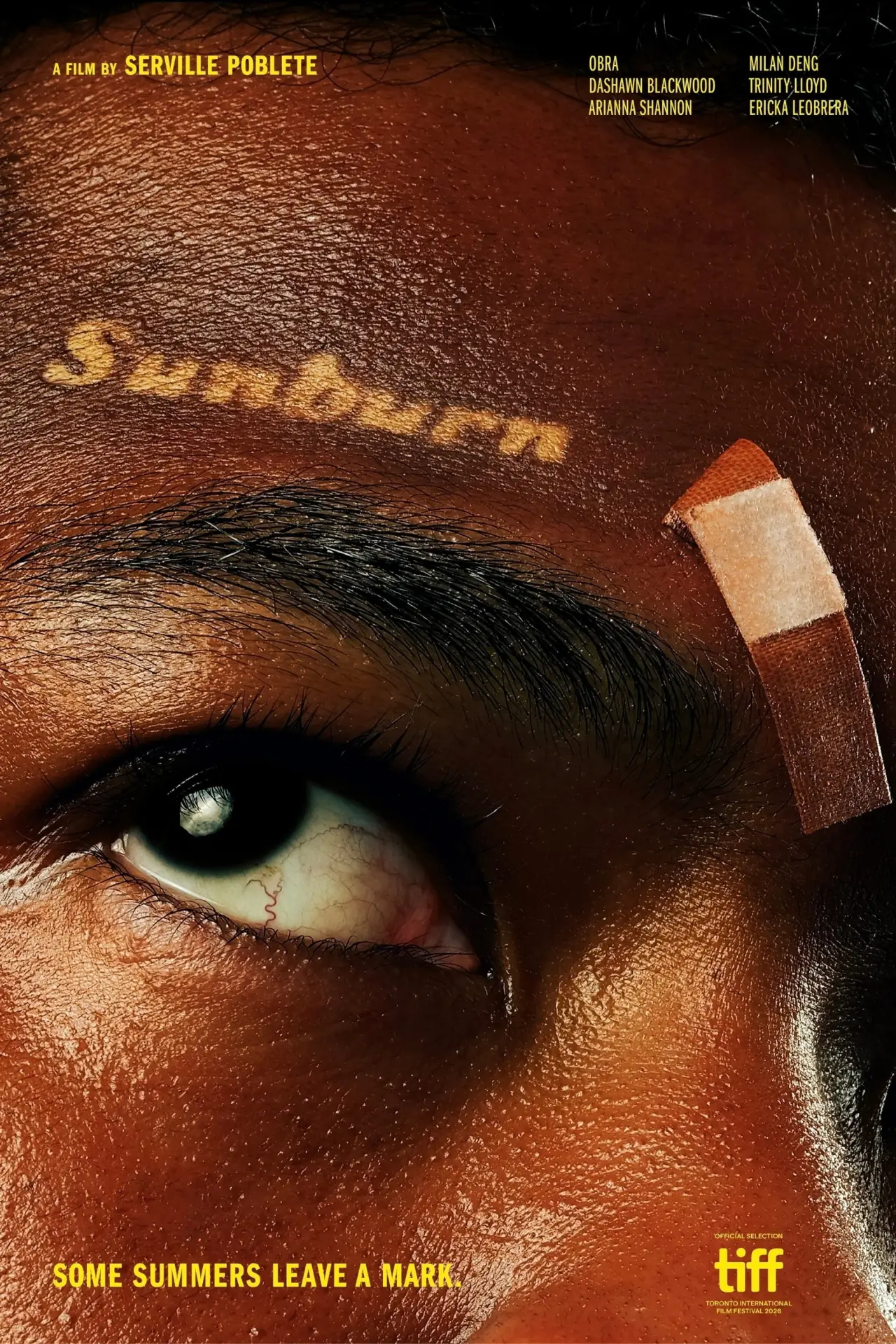 Plakat filmowy "Sunburn"