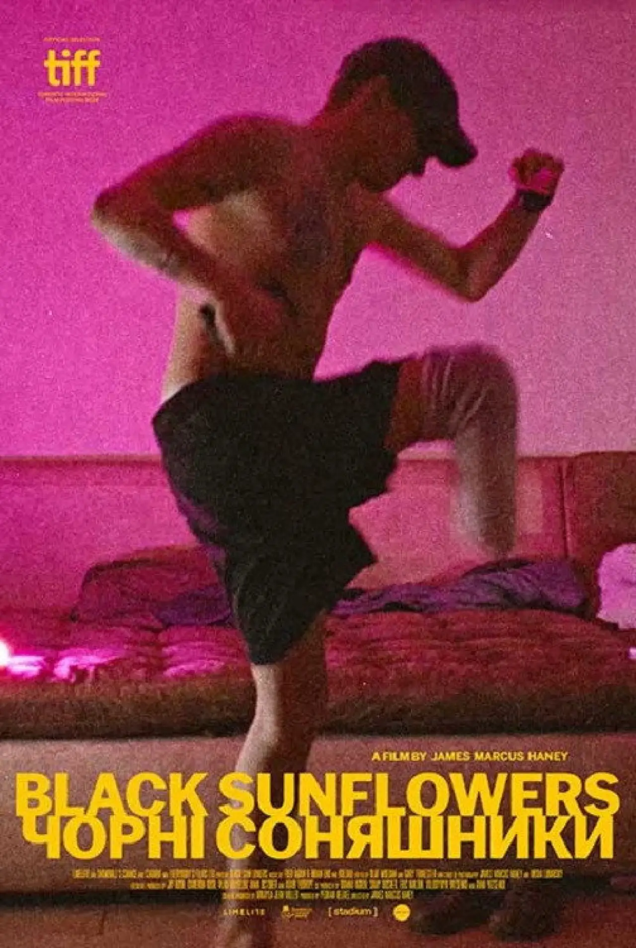 Plakat filmowy "чорні соняшники"