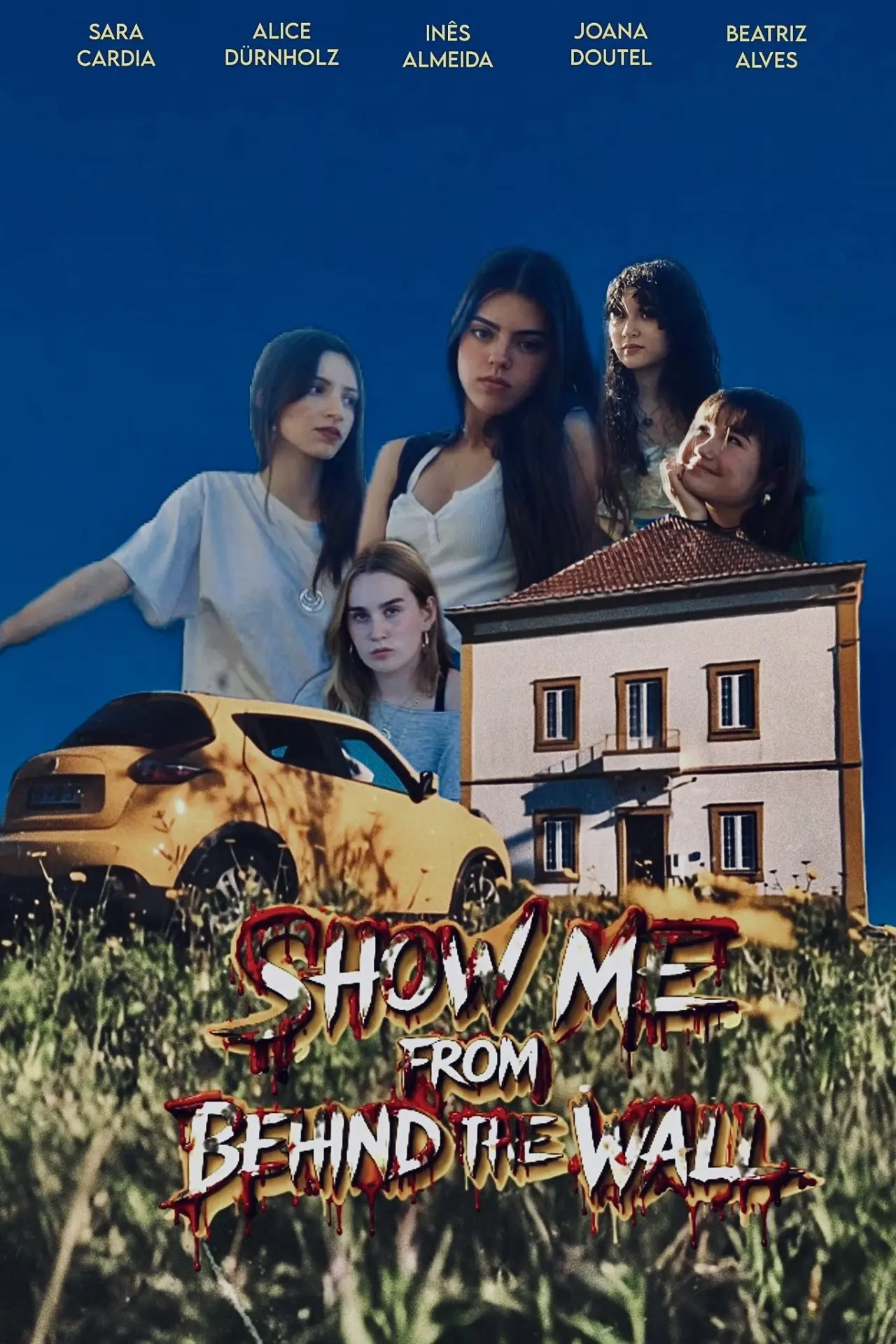 Plakat filmowy "Show me From Behind the Wall"