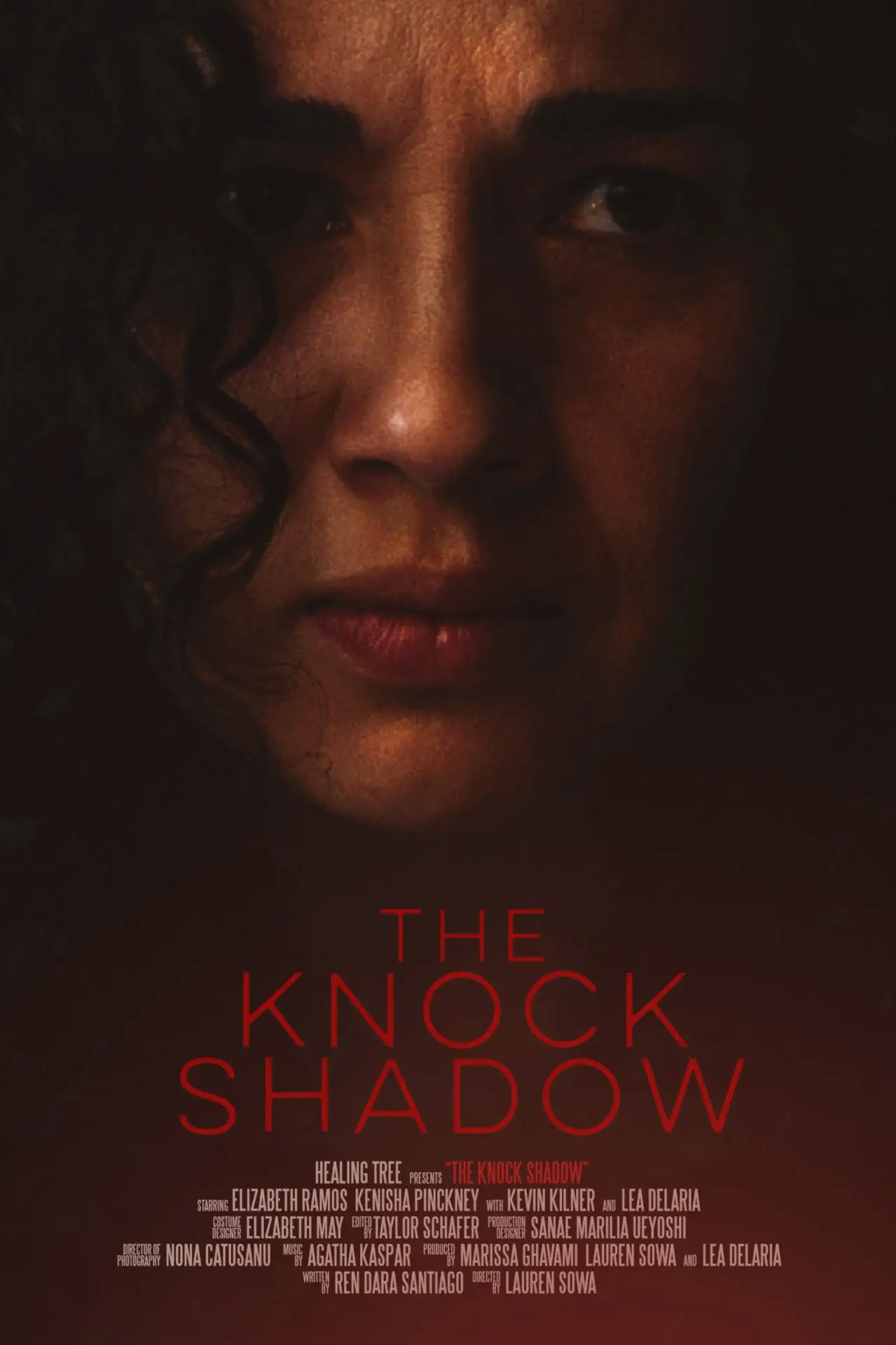 Plakat filmowy "The Knock Shadow"