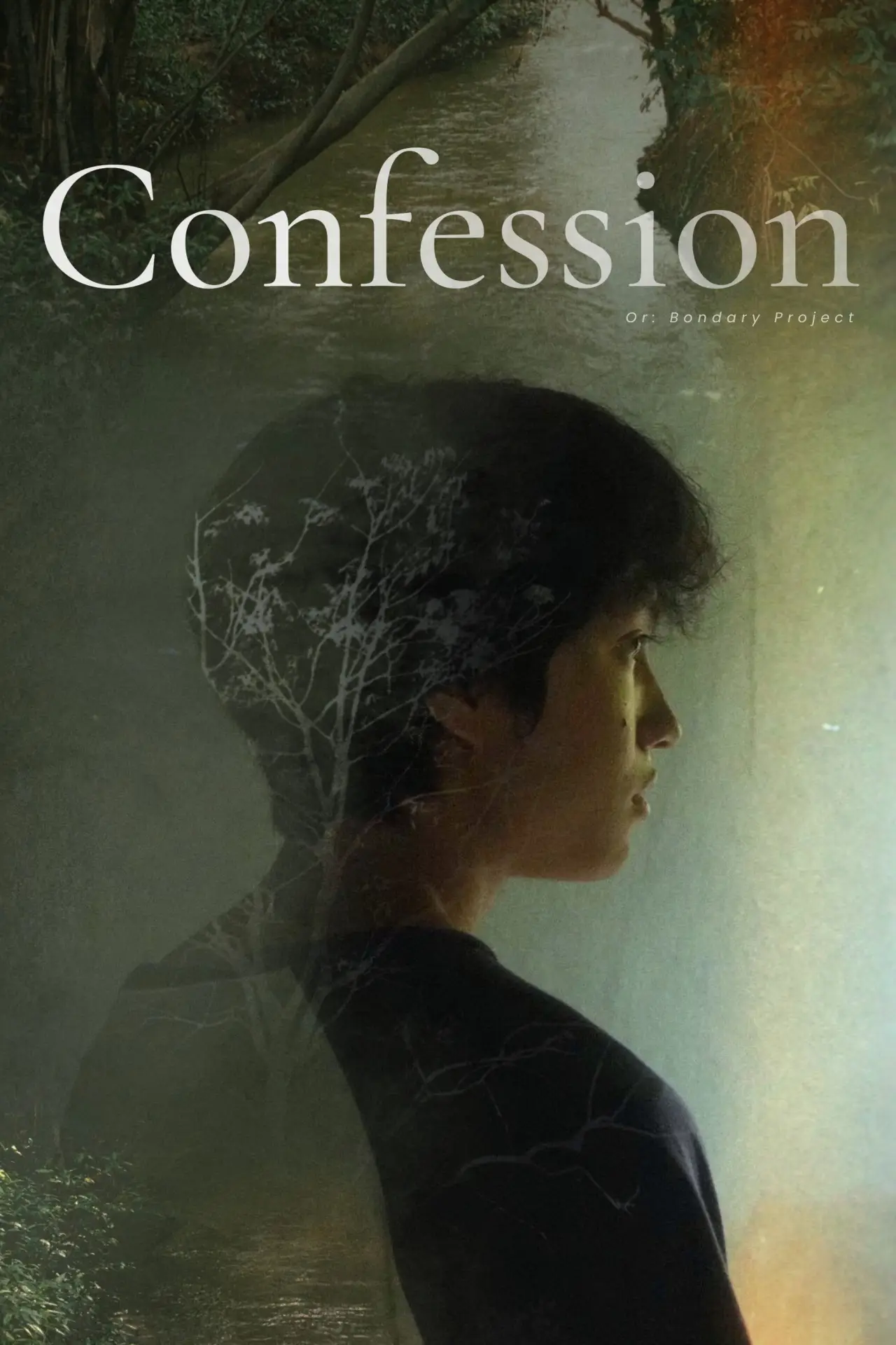 Plakat filmowy "Confession or: Bondary Project"