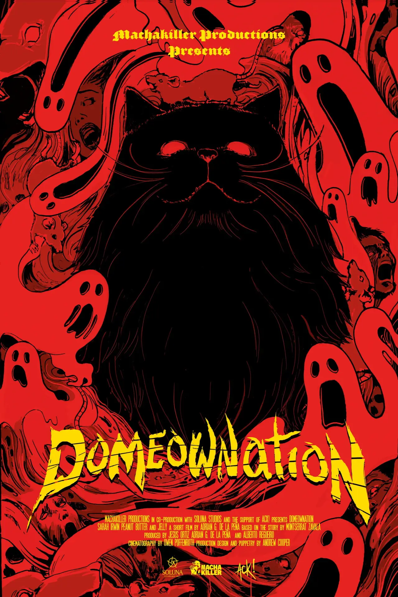Plakat filmowy "Domeownation"