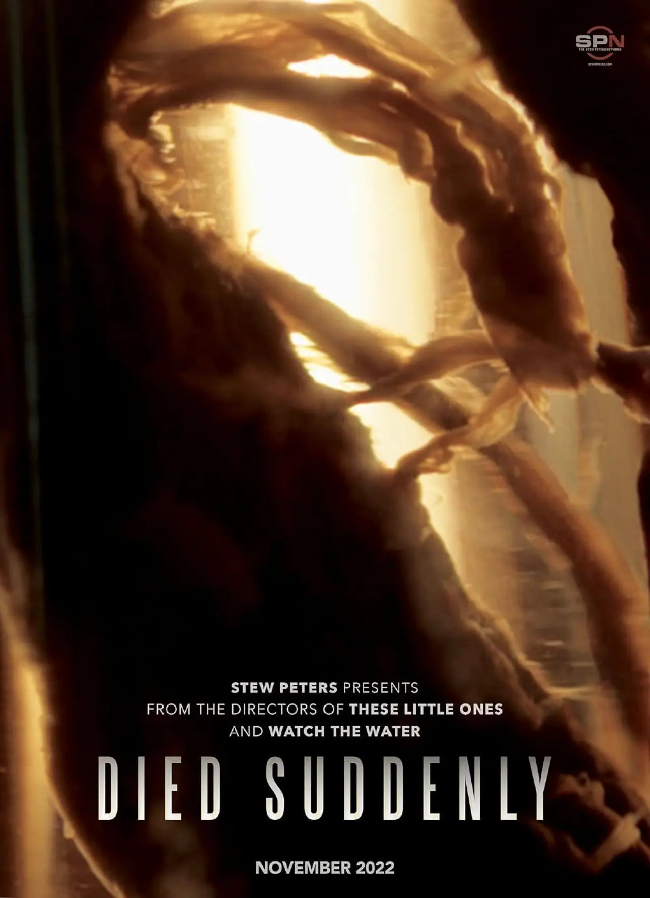 Plakat filmowy "Died Suddenly"