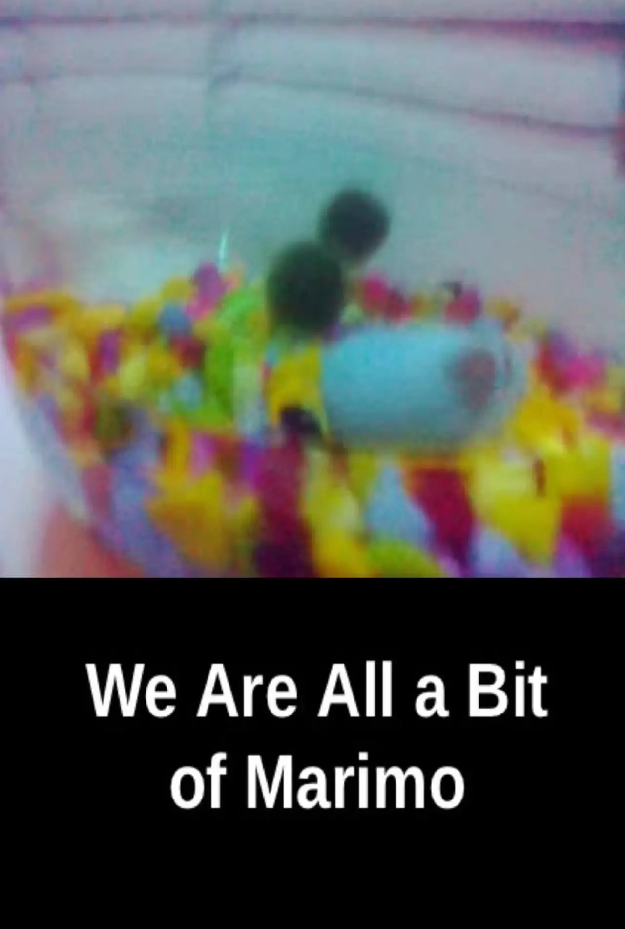 Plakat filmowy "We Are All a Bit of Marimo"