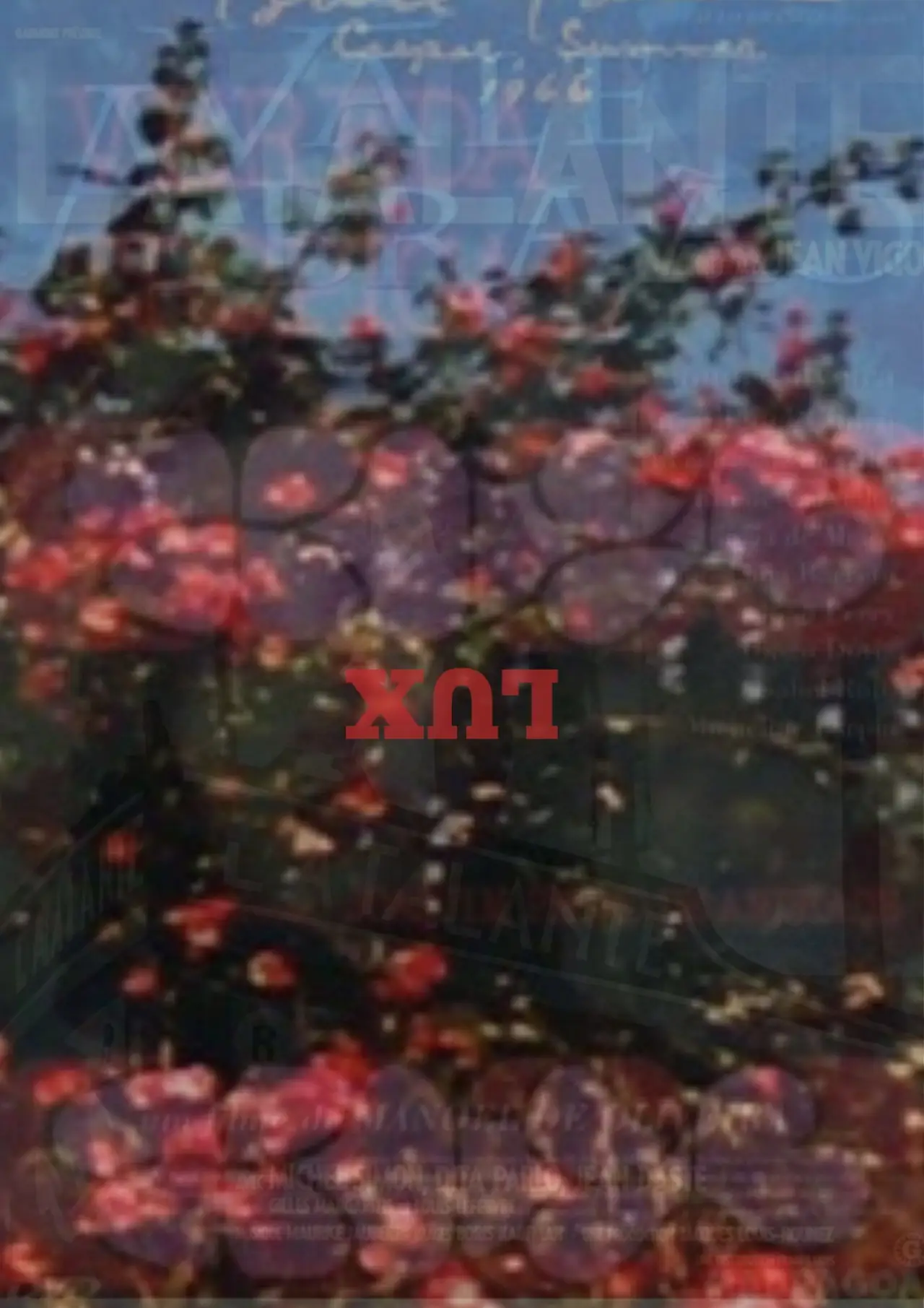 Plakat filmowy "Lux"
