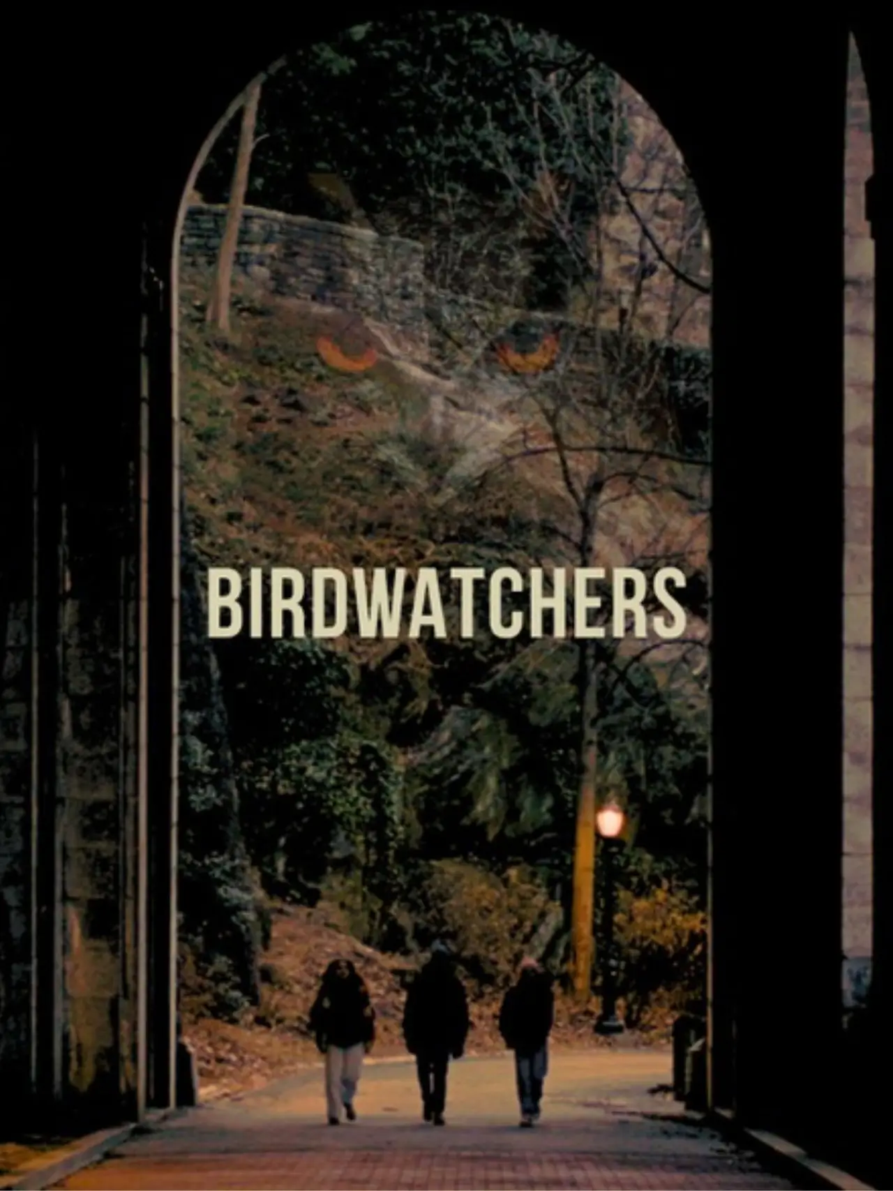 Plakat filmowy "Birdwatchers"
