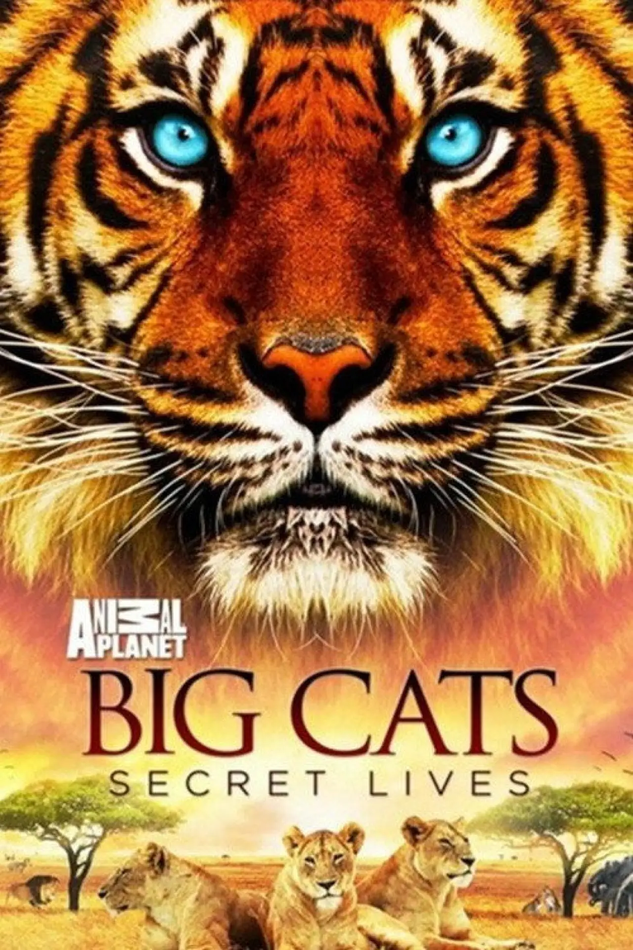 Plakat filmowy "Big Cats: Secret Lives"