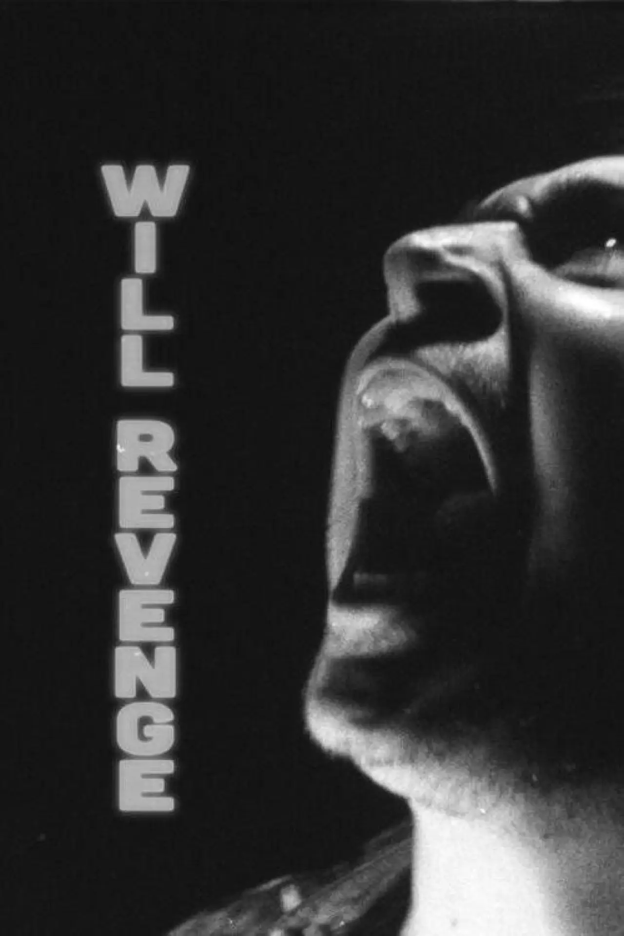 Plakat filmowy "Will Revenge"