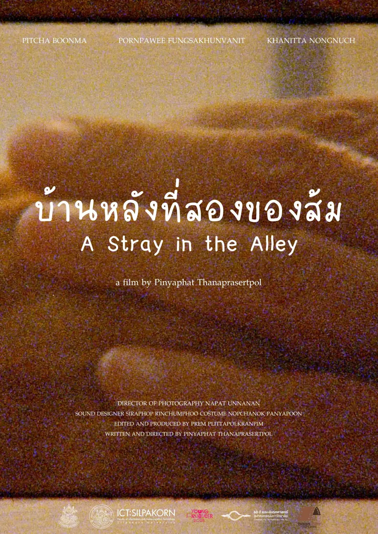 Plakat filmowy "A Stray in the Alley"