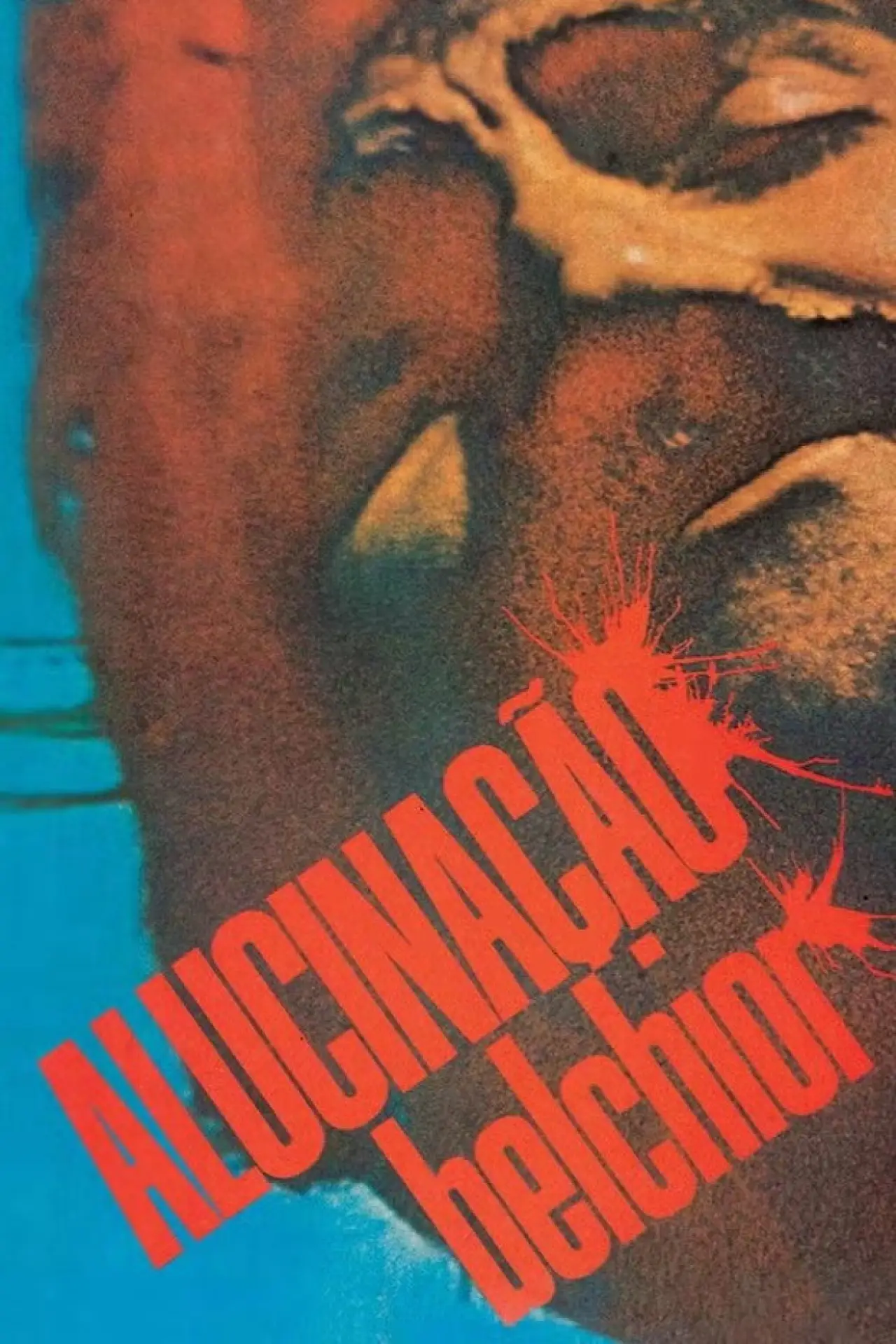 Plakat filmowy "Alucinação"