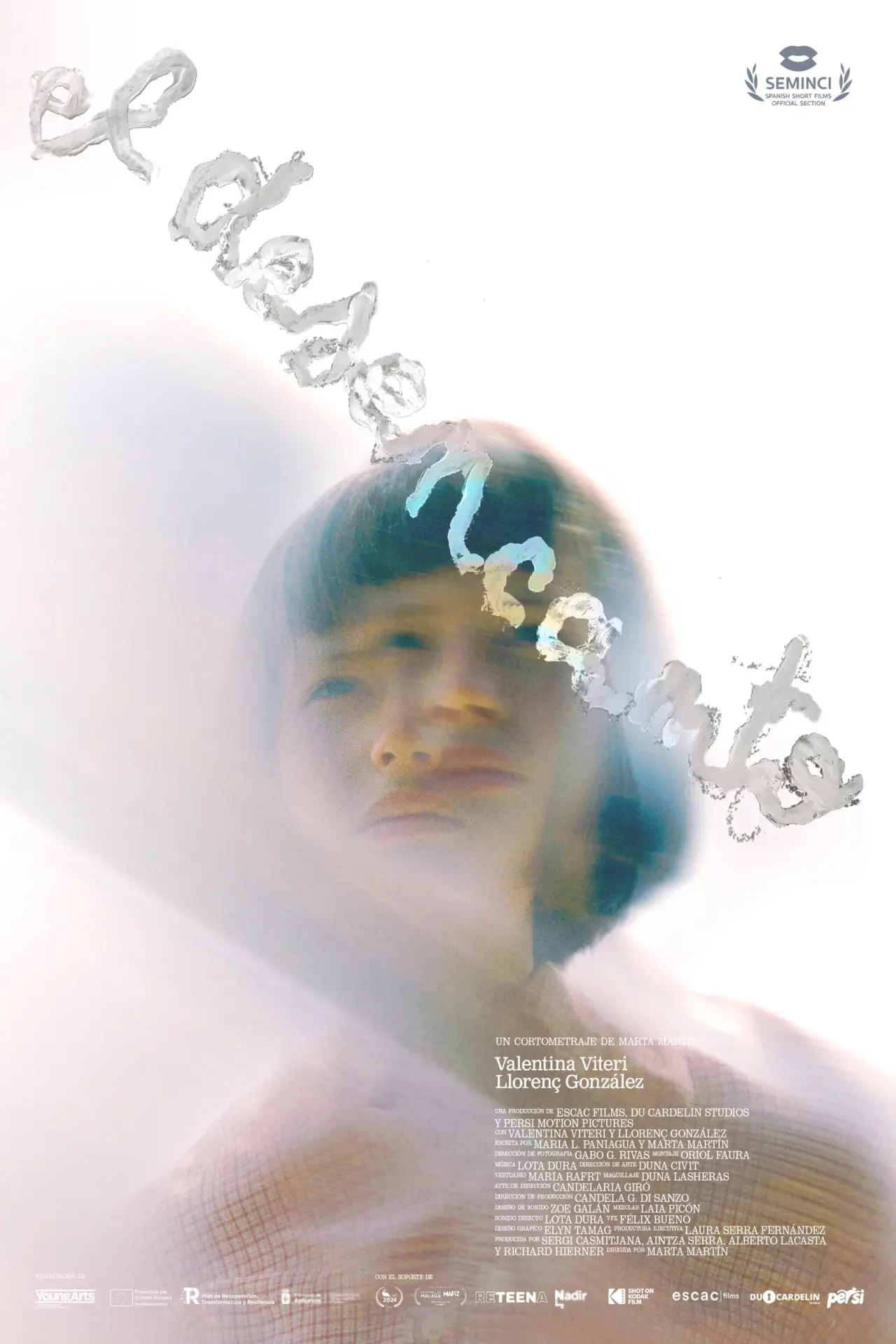 Plakat filmowy "El Desencanto"