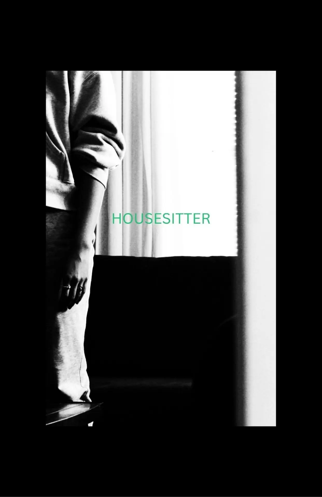 Plakat filmowy "HOUSESITTER"
