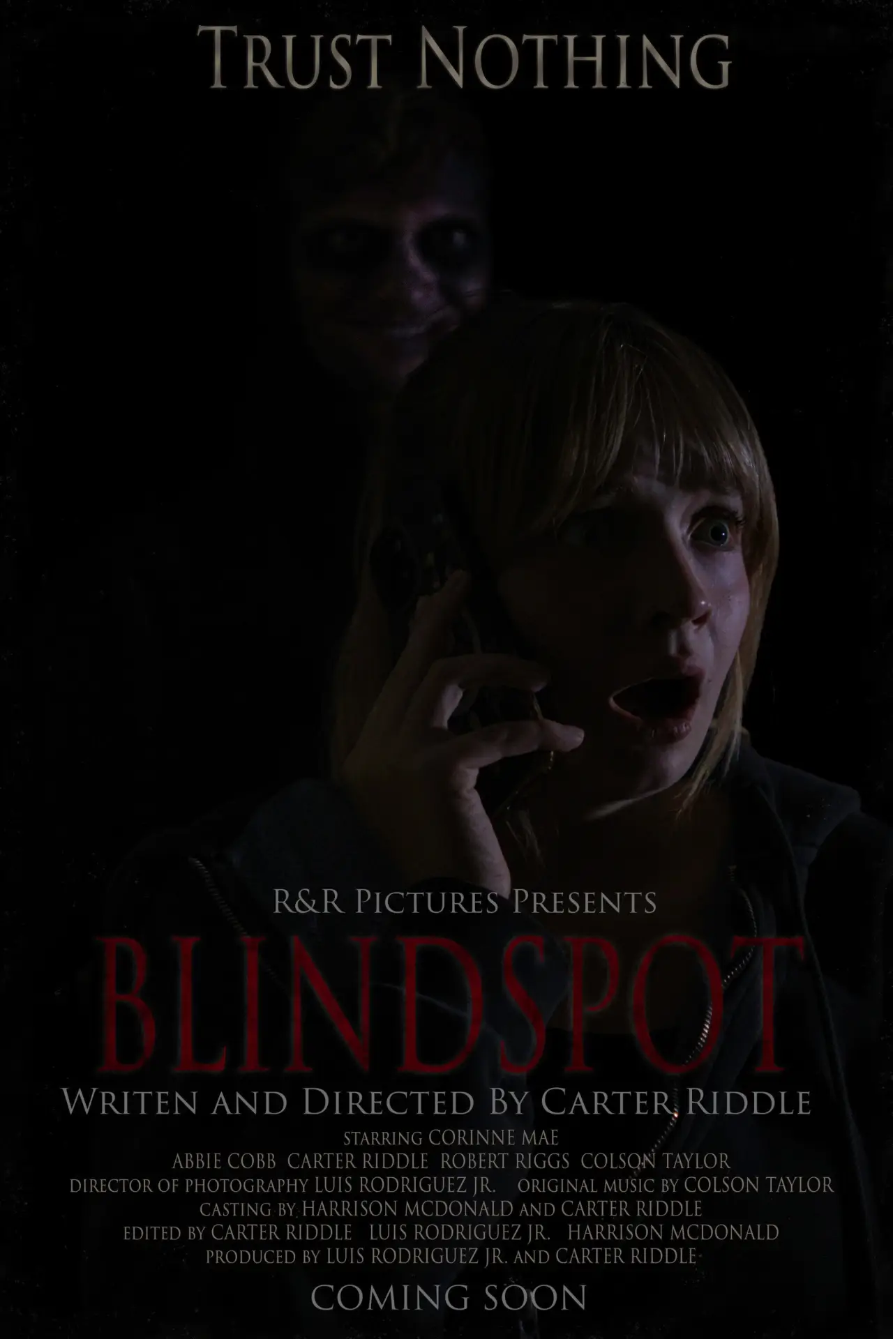 Plakat filmowy "BLINDSPOT"
